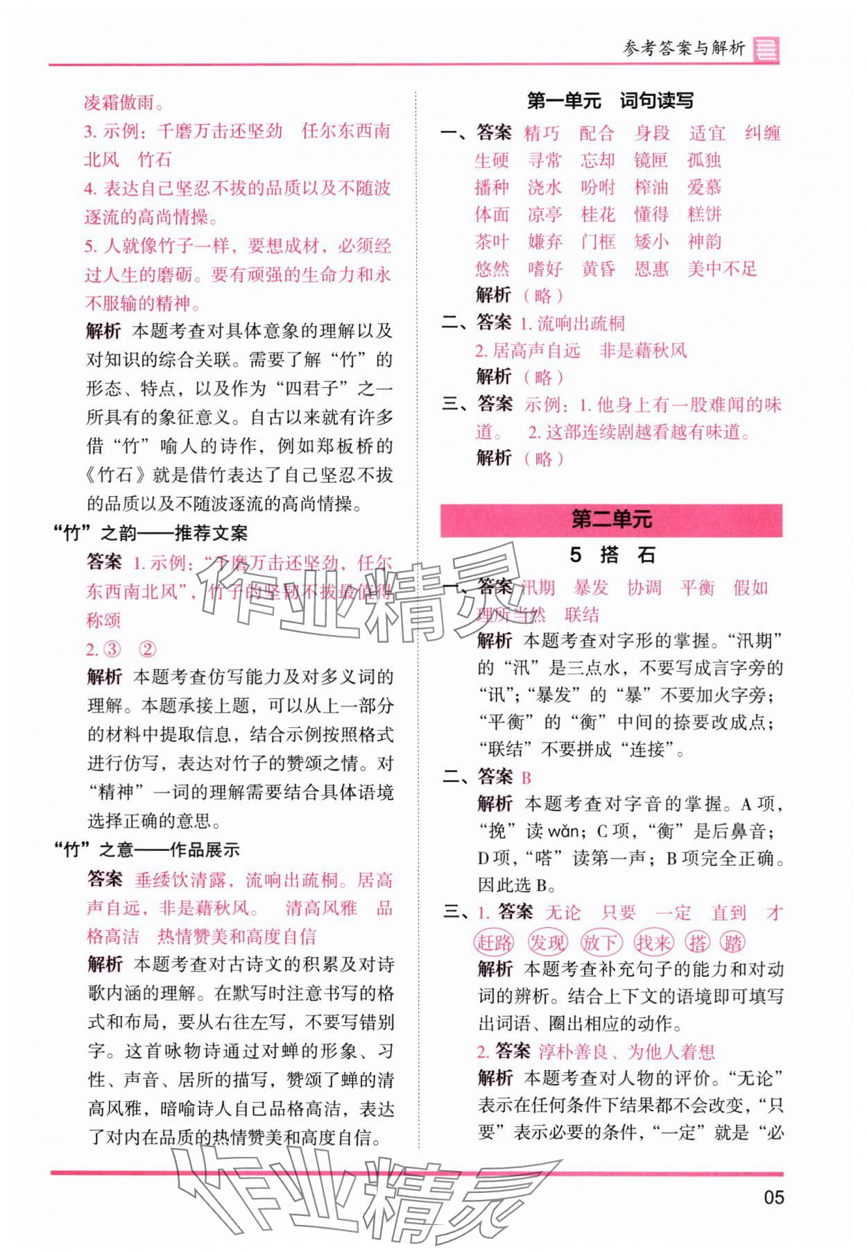 2025年木头马分层课课练五年级语文上册人教版浙江专版 第5页