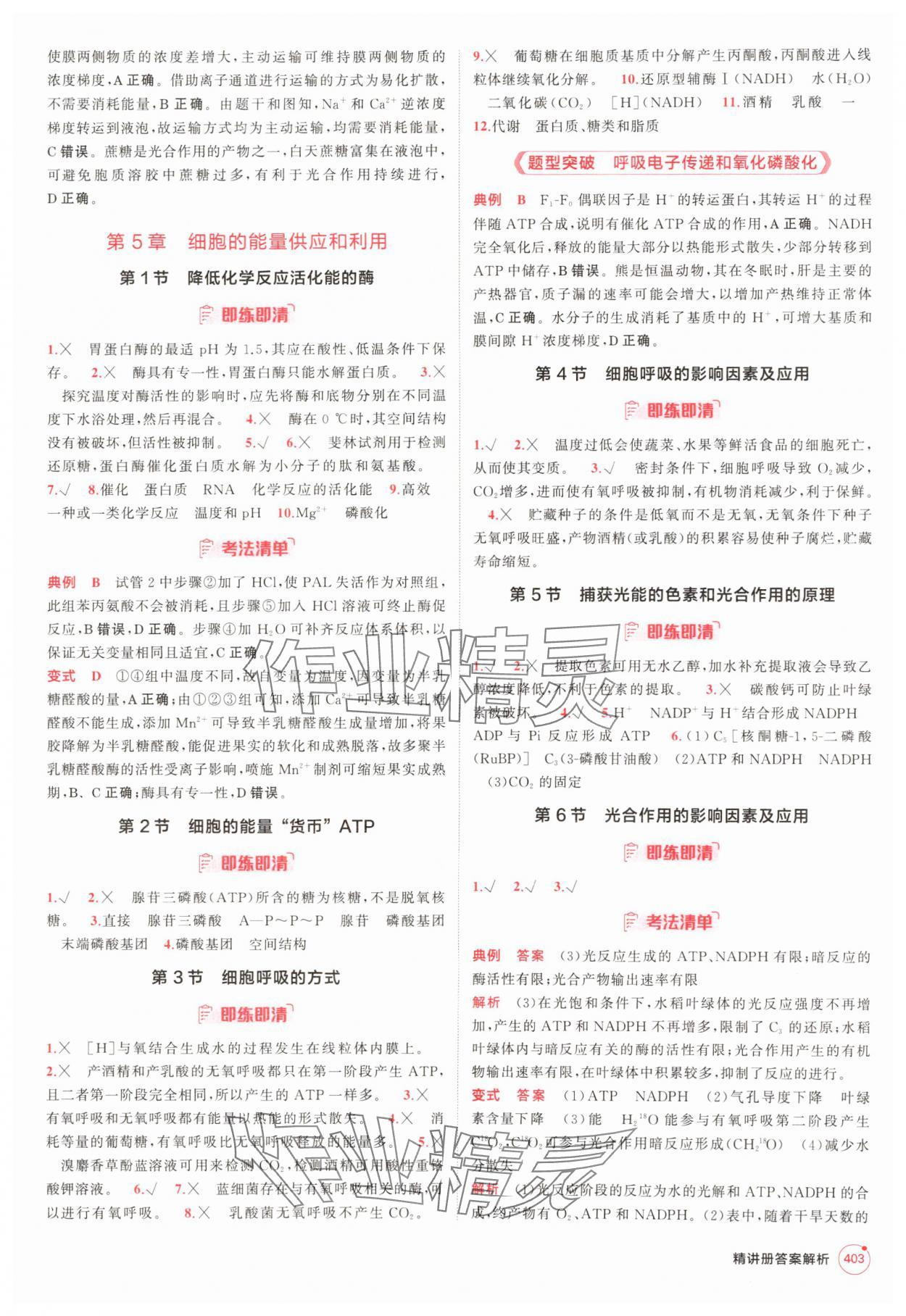 2025年5年高考3年模擬高中生物人教版 參考答案第3頁