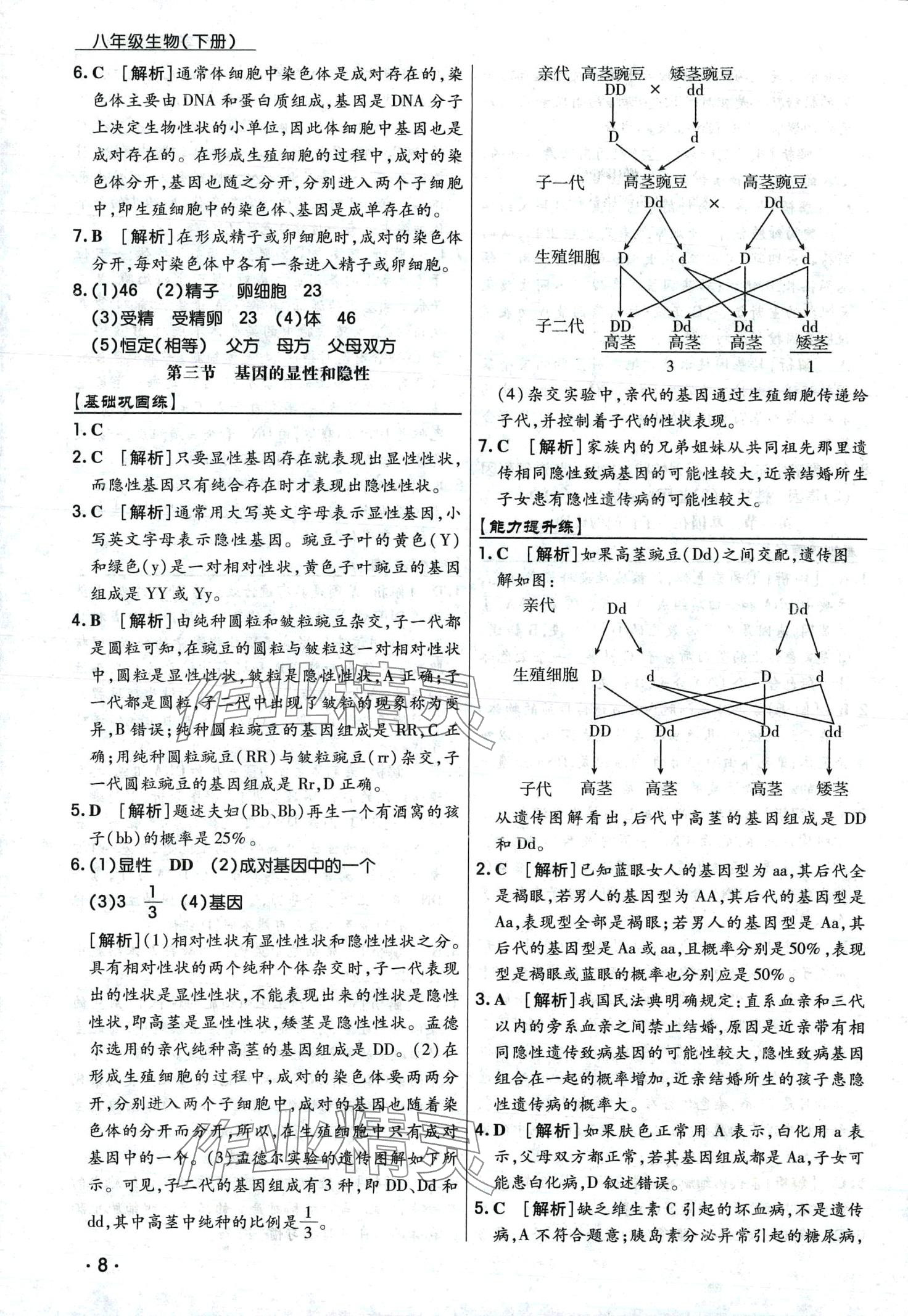 2024年學升同步練測八年級生物下冊人教版 第8頁