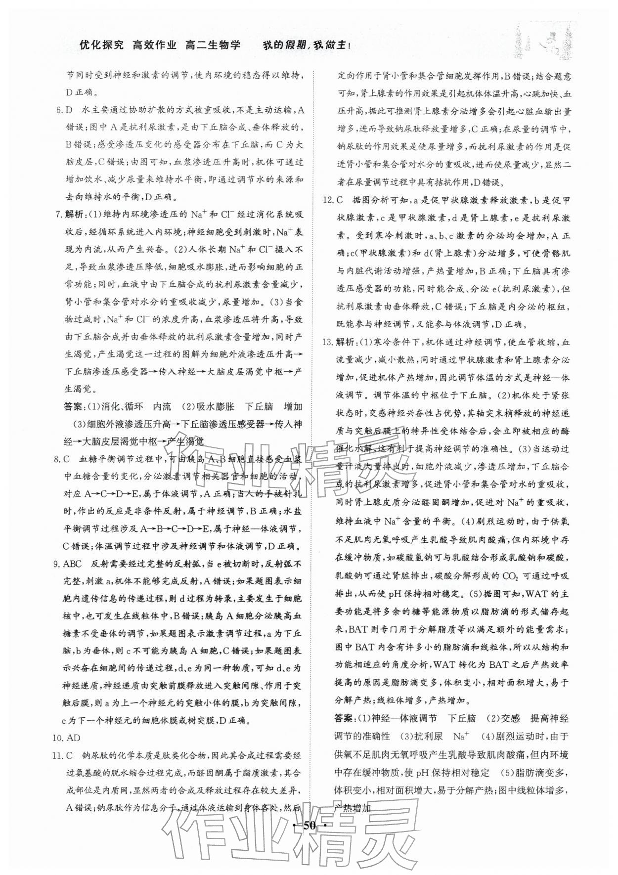 2026年優(yōu)化探究高效作業(yè)高二生物&nbsp;參考答案第4頁(yè)