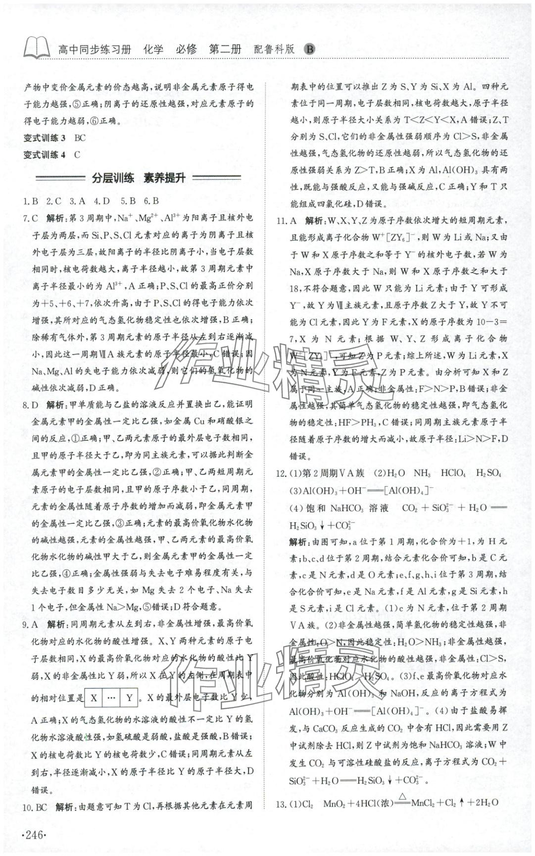2025年同步練習冊山東科學技術出版社高中化學必修第二冊魯科版B專版 第10頁