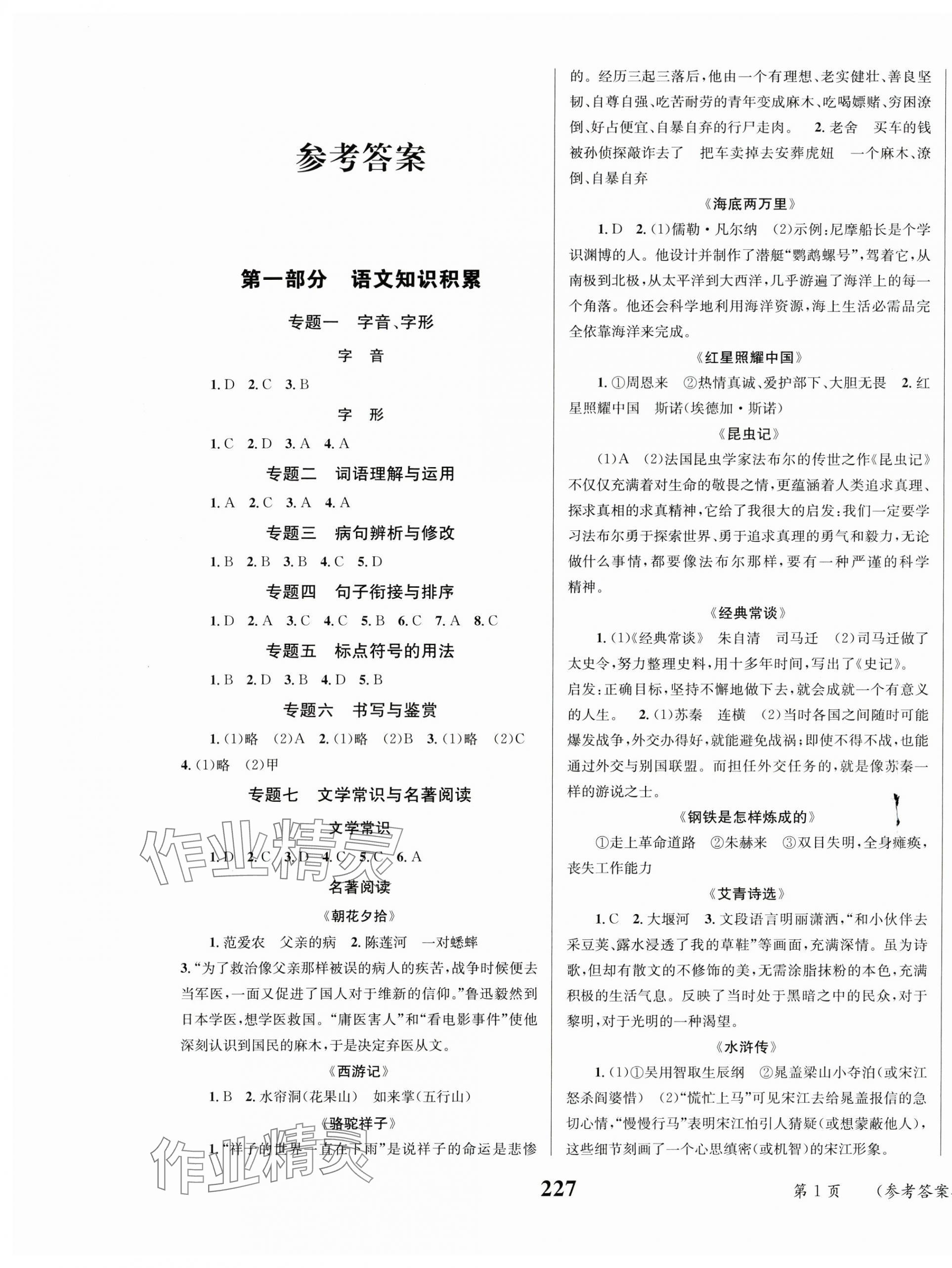 2024年云南省初中學業(yè)水平考試總復習及測試語文中考 第1頁