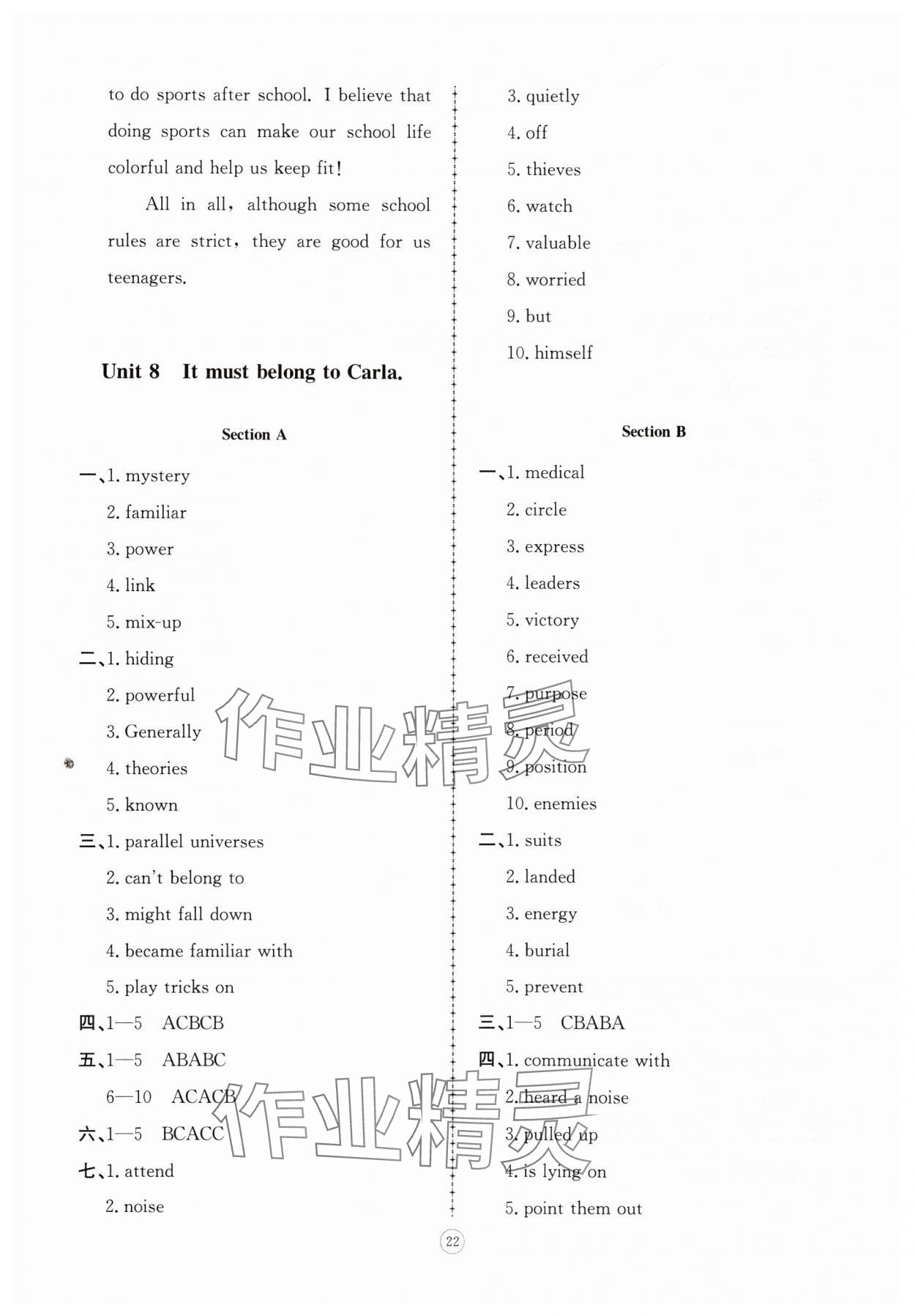 2025年同步练习册智慧拓展九年级英语上册人教版菏泽专版&nbsp;参考答案第10页