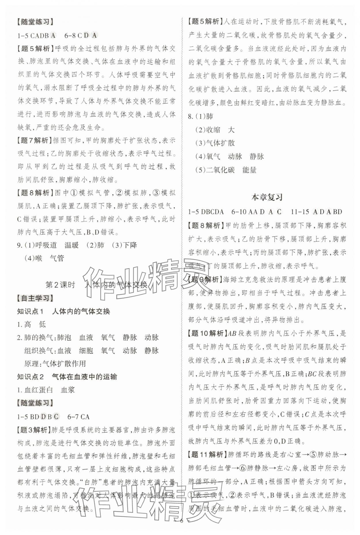 2024年同步?jīng)_刺七年級生物下冊北師大版 第6頁