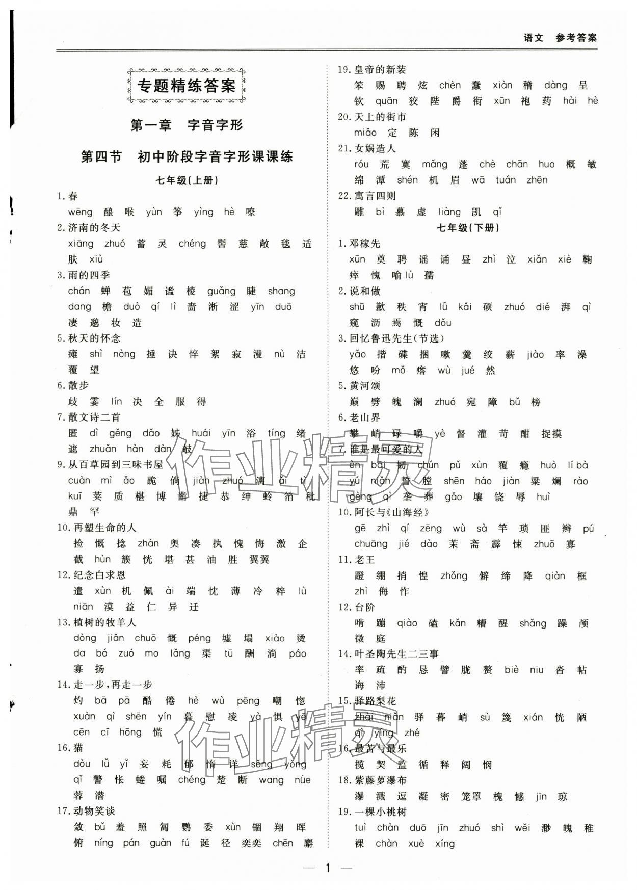 2025年新課標中考寶典語文深圳專用 第1頁