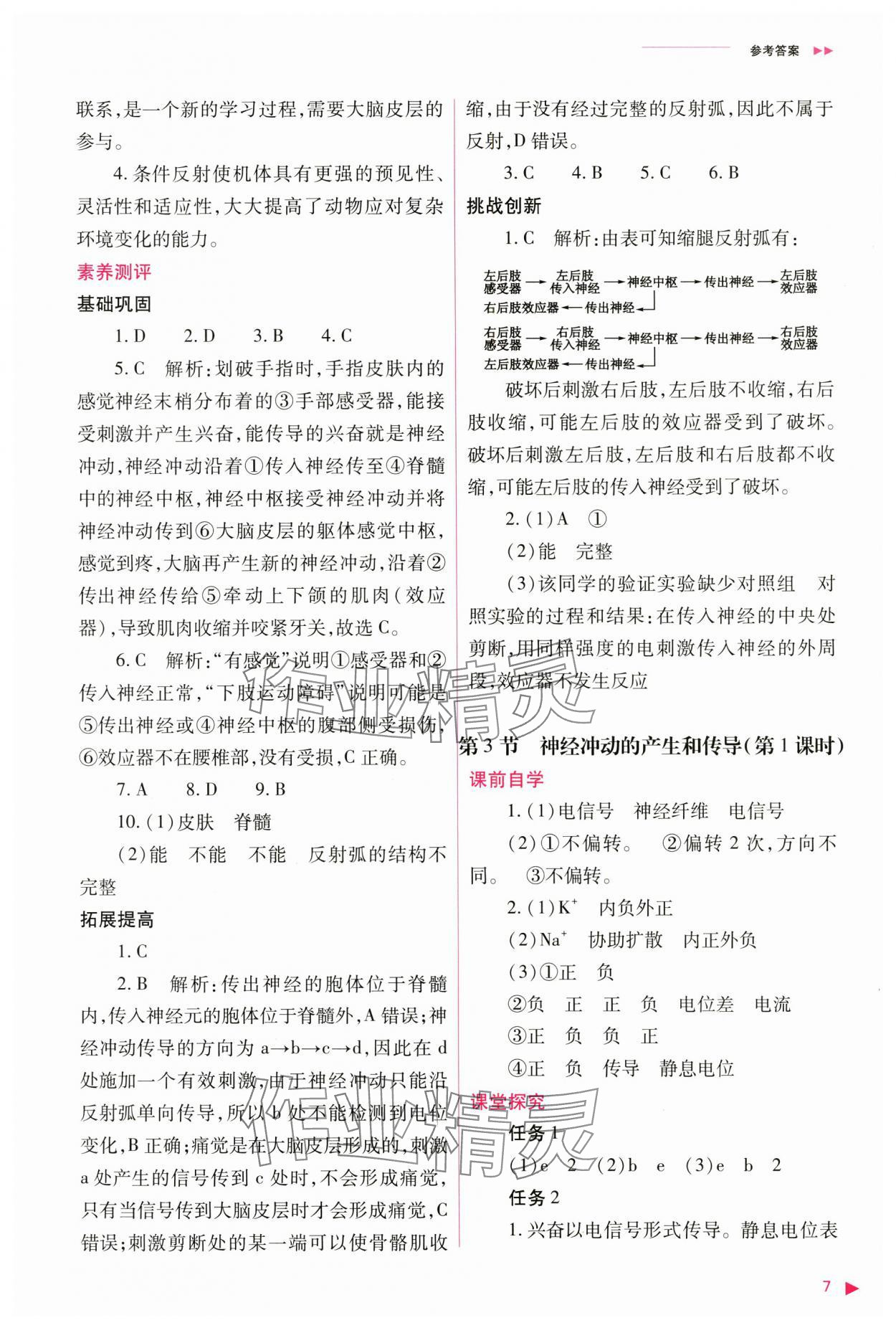 2024年普通高中新课程同步练习册高中生物选择性必修1人教版 参考答案第7页