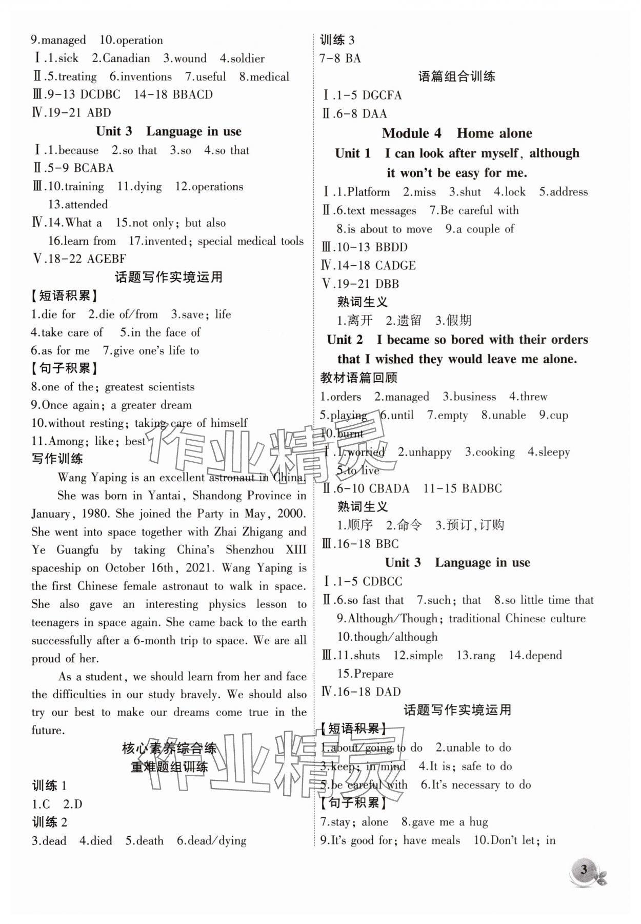 2025年創(chuàng)新課堂創(chuàng)新作業(yè)本九年級英語上冊外研版 第3頁