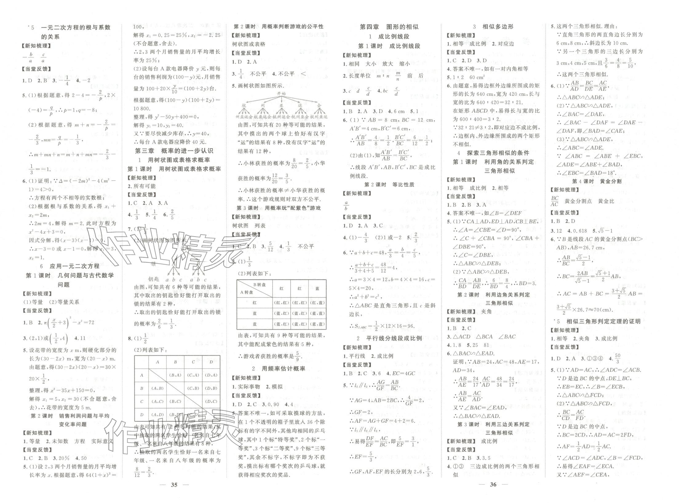 2025年本土教辅名校学案初中生辅导九年级数学上册北师大版 第2页