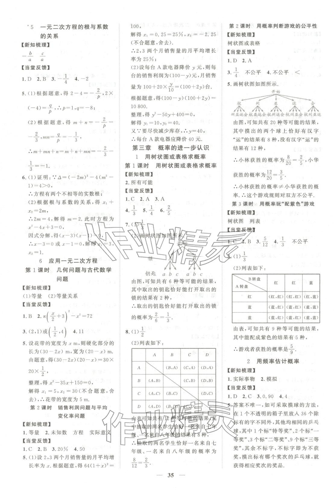 2025年本土教辅名校学案初中生辅导九年级数学上册北师大版 第3页