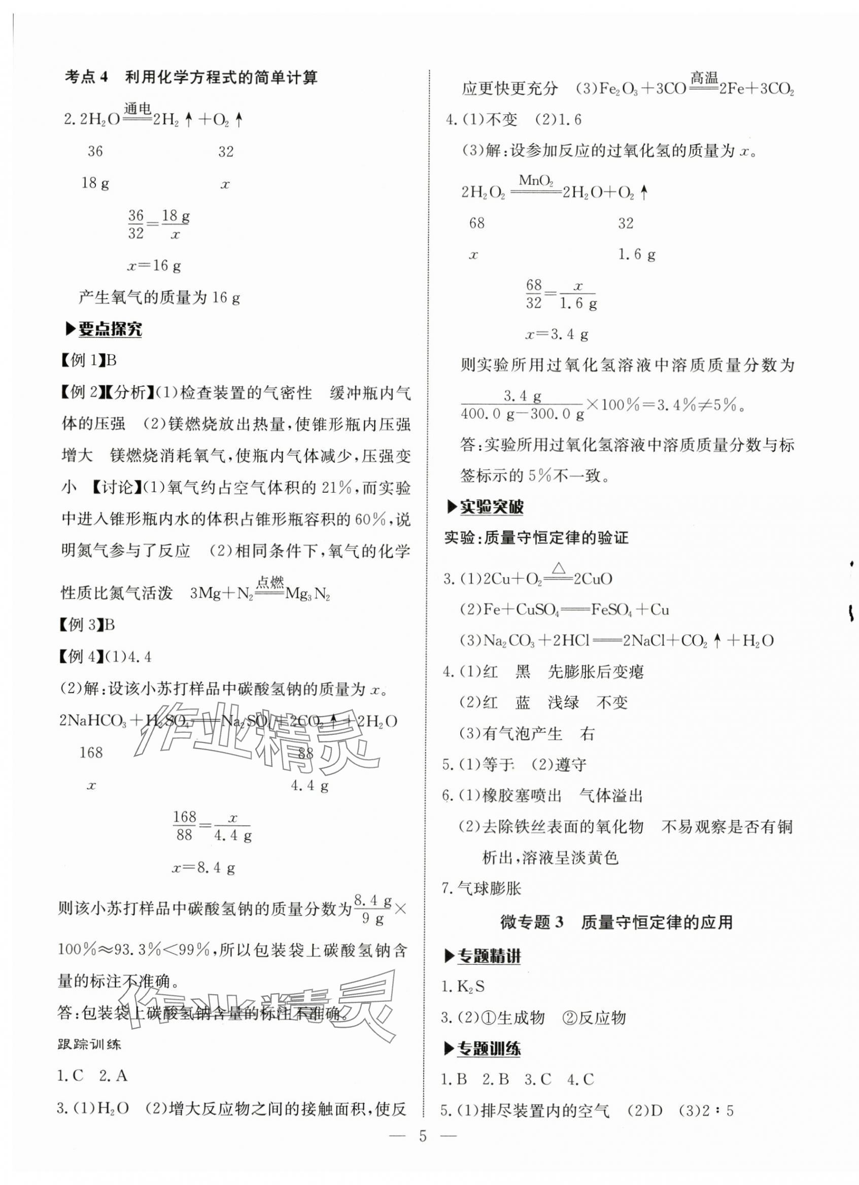 2025年湘岳中考化學(xué)邵陽專版 第5頁