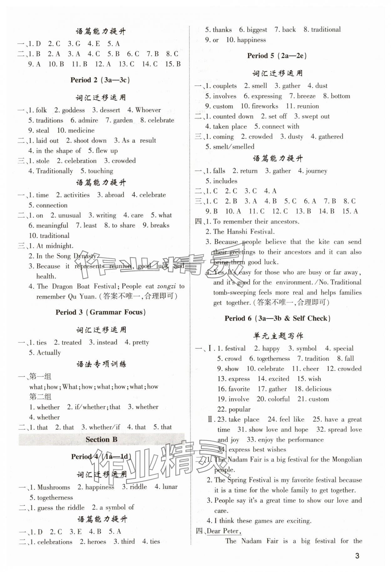 2025年直击中考内蒙古大学出版社九年级英语全一册人教版&nbsp;第3页