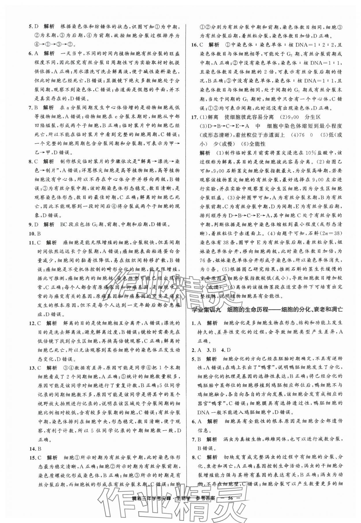 2025年精彩三年學考尖峰生物浙江專版 第10頁