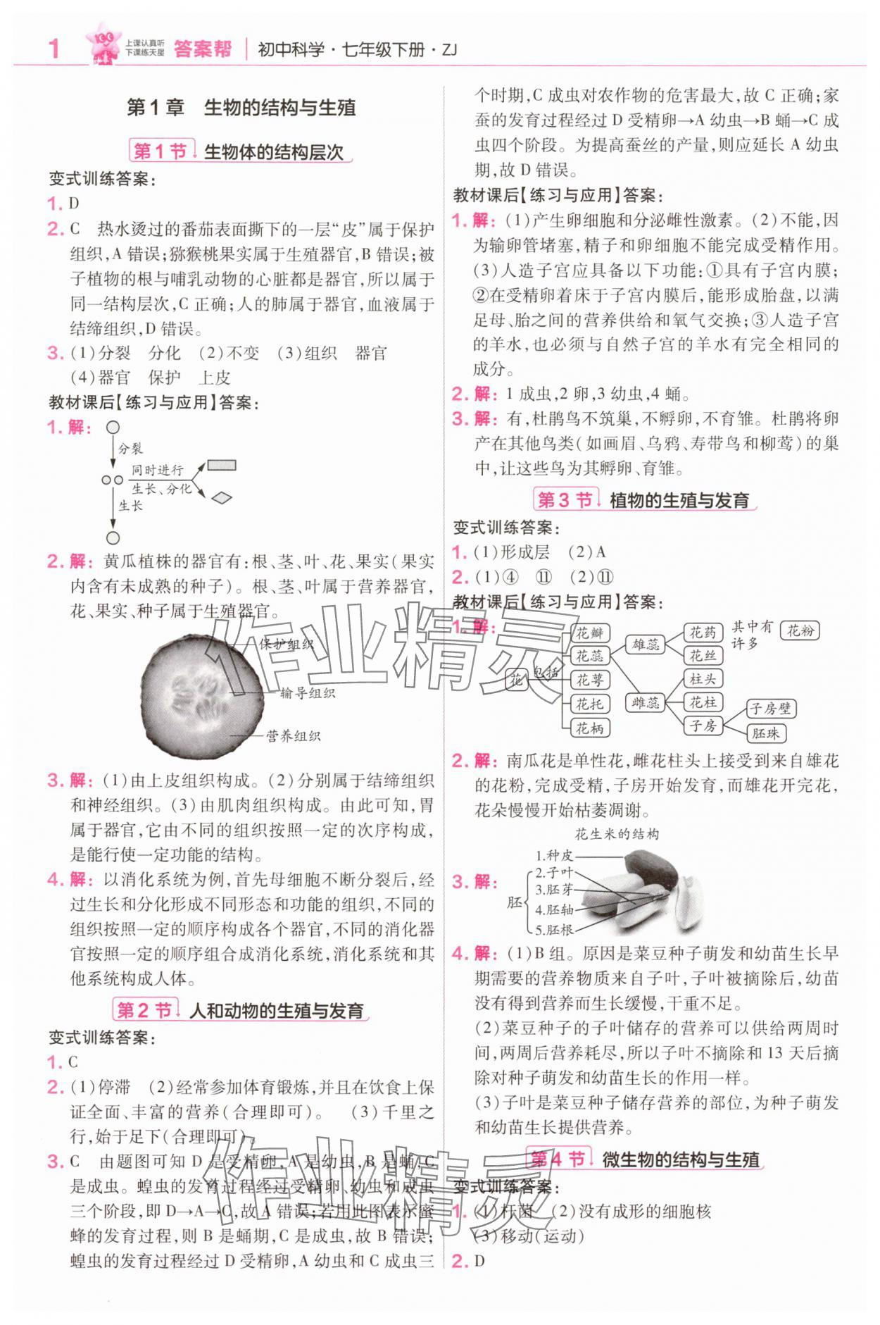 2025年教材幫七年級(jí)科學(xué)下冊(cè)浙教版 參考答案第1頁(yè)