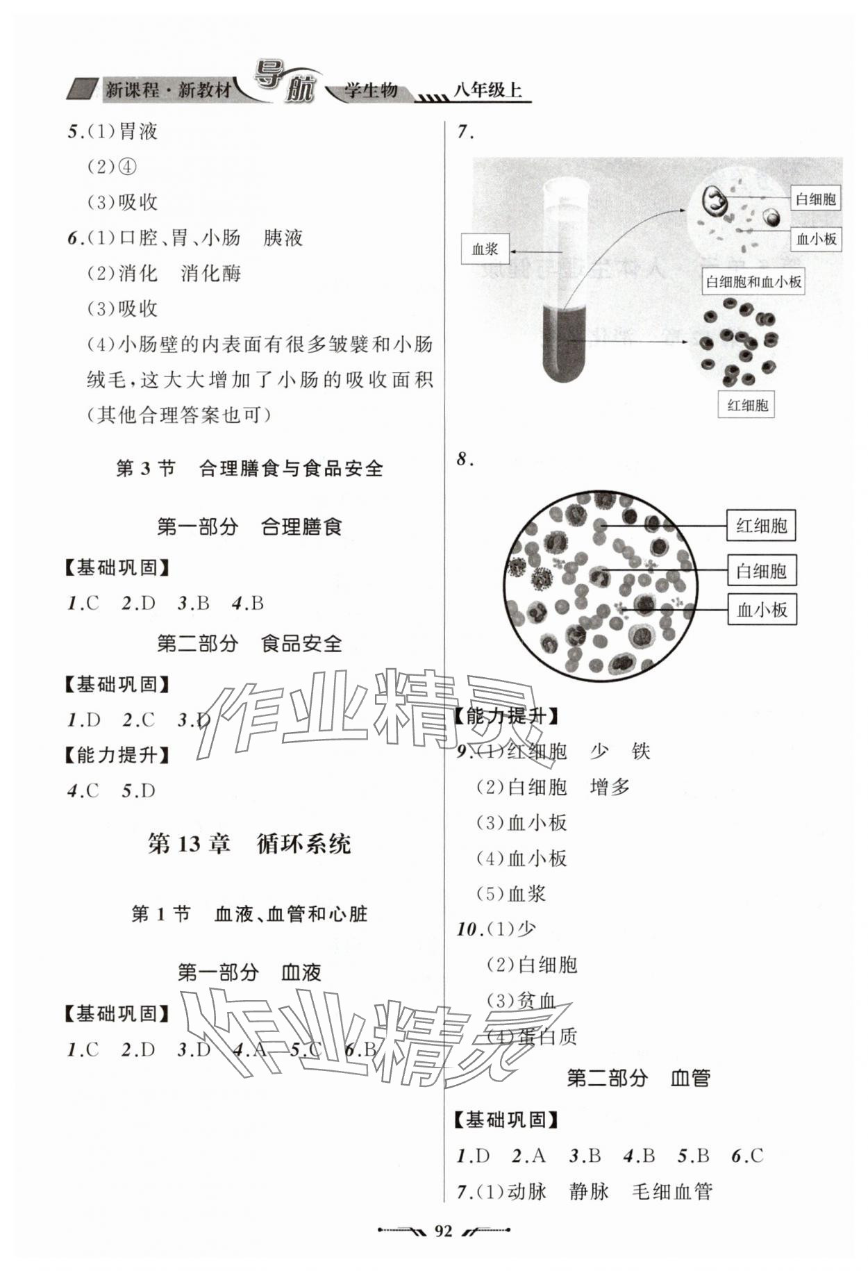 2025年新课程新教材导航学八年级生物上册苏教版 第2页