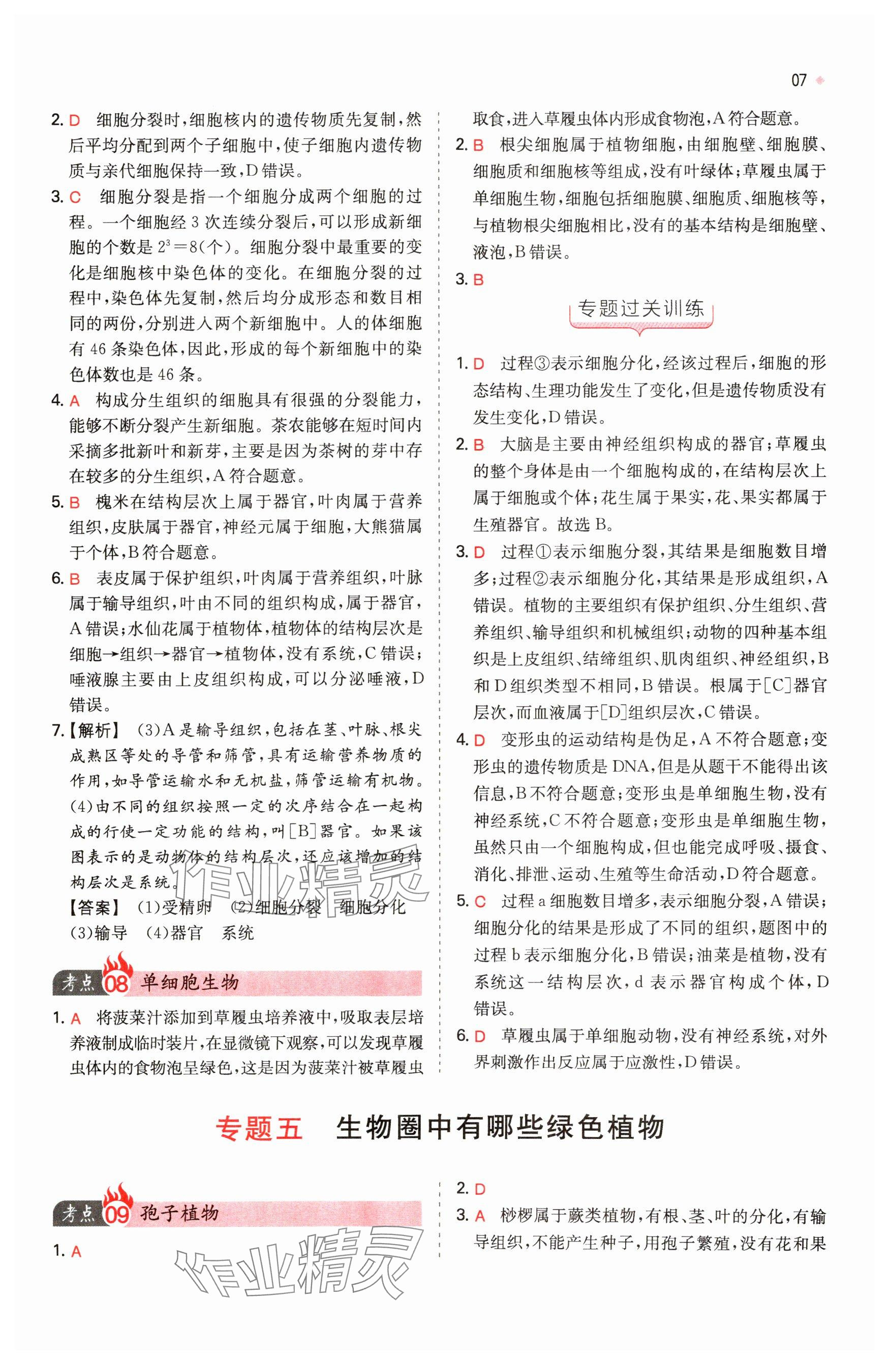 2025年一本中考训练方案生物&nbsp;参考答案第7页