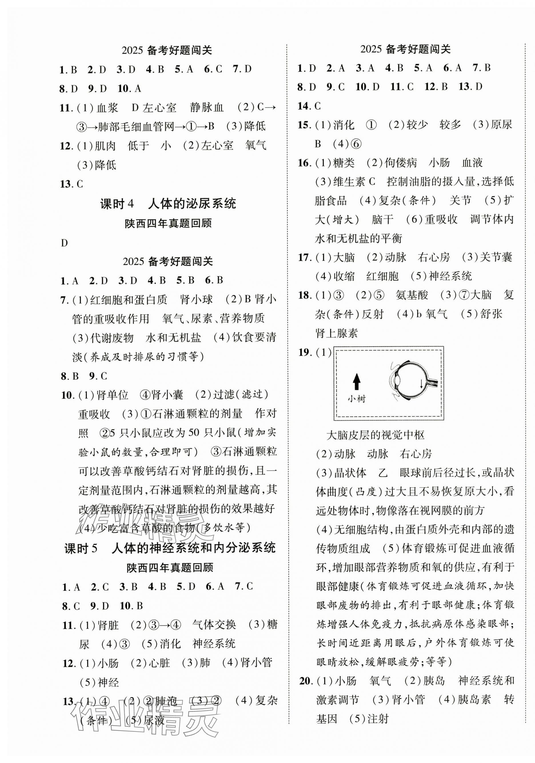2025年中考總復(fù)習(xí)優(yōu)化指導(dǎo)生物陜西中考 第5頁(yè)