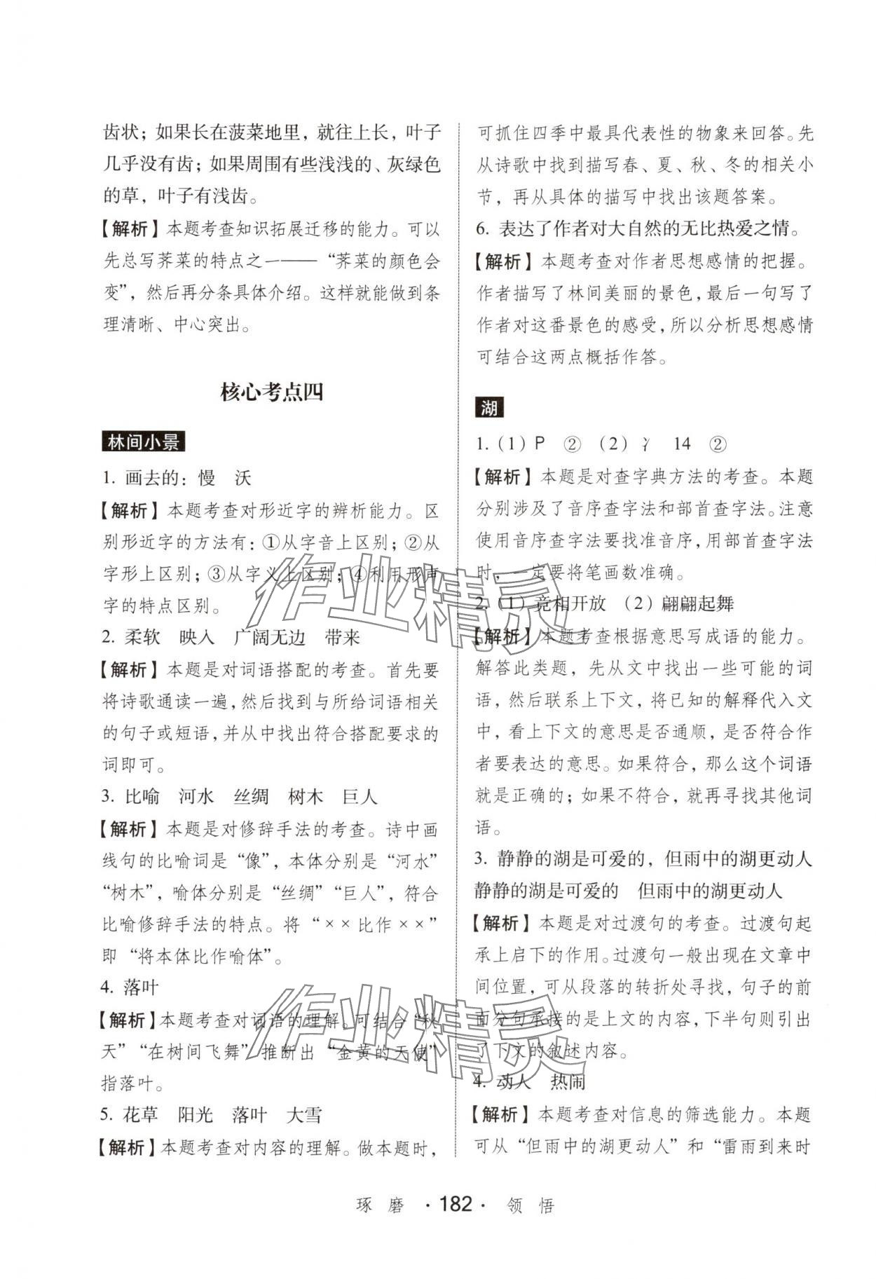 2024年小學語文考試閱讀真題精選專練詳解三年級人教版 第8頁