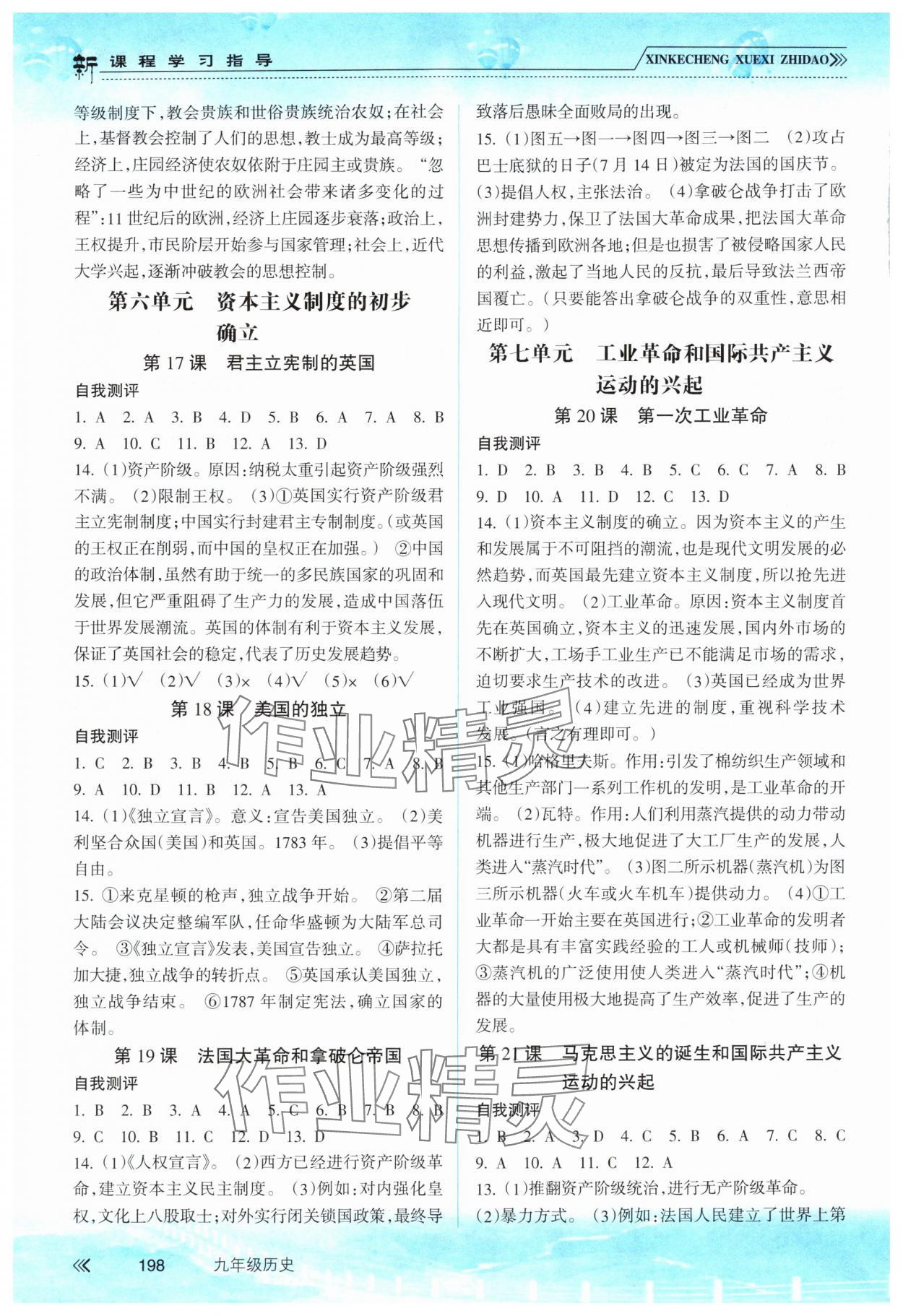 2025年新课程学习指导南方出版社九年级历史人教版 参考答案第5页