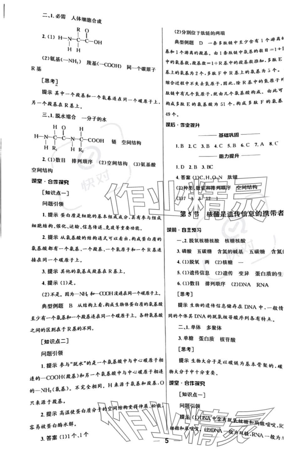 2023年同步練習(xí)冊人民教育出版社高中生物必修1人教版 參考答案第5頁