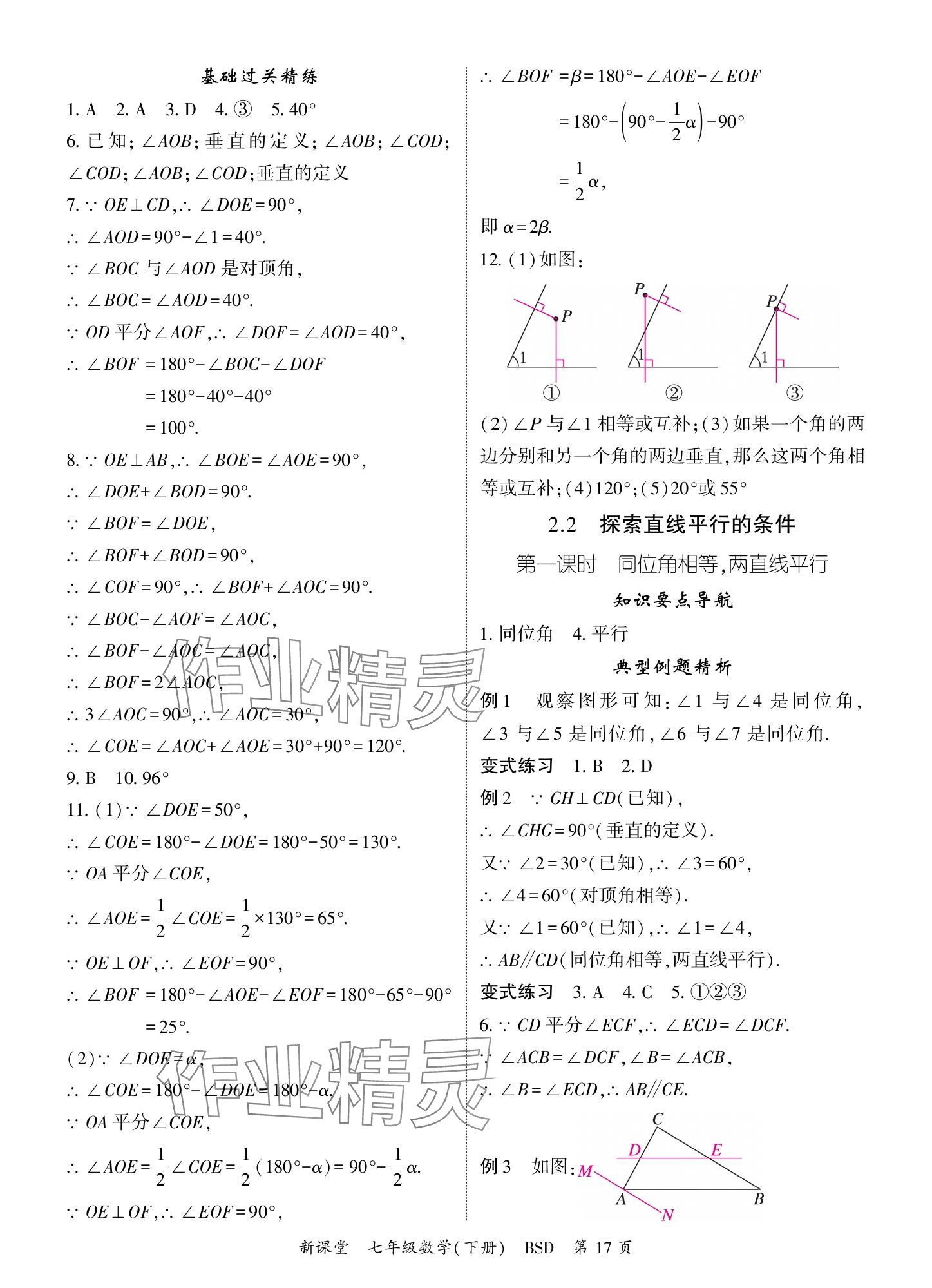 2024年啟航新課堂七年級(jí)數(shù)學(xué)下冊(cè)北師大版 參考答案第17頁(yè)