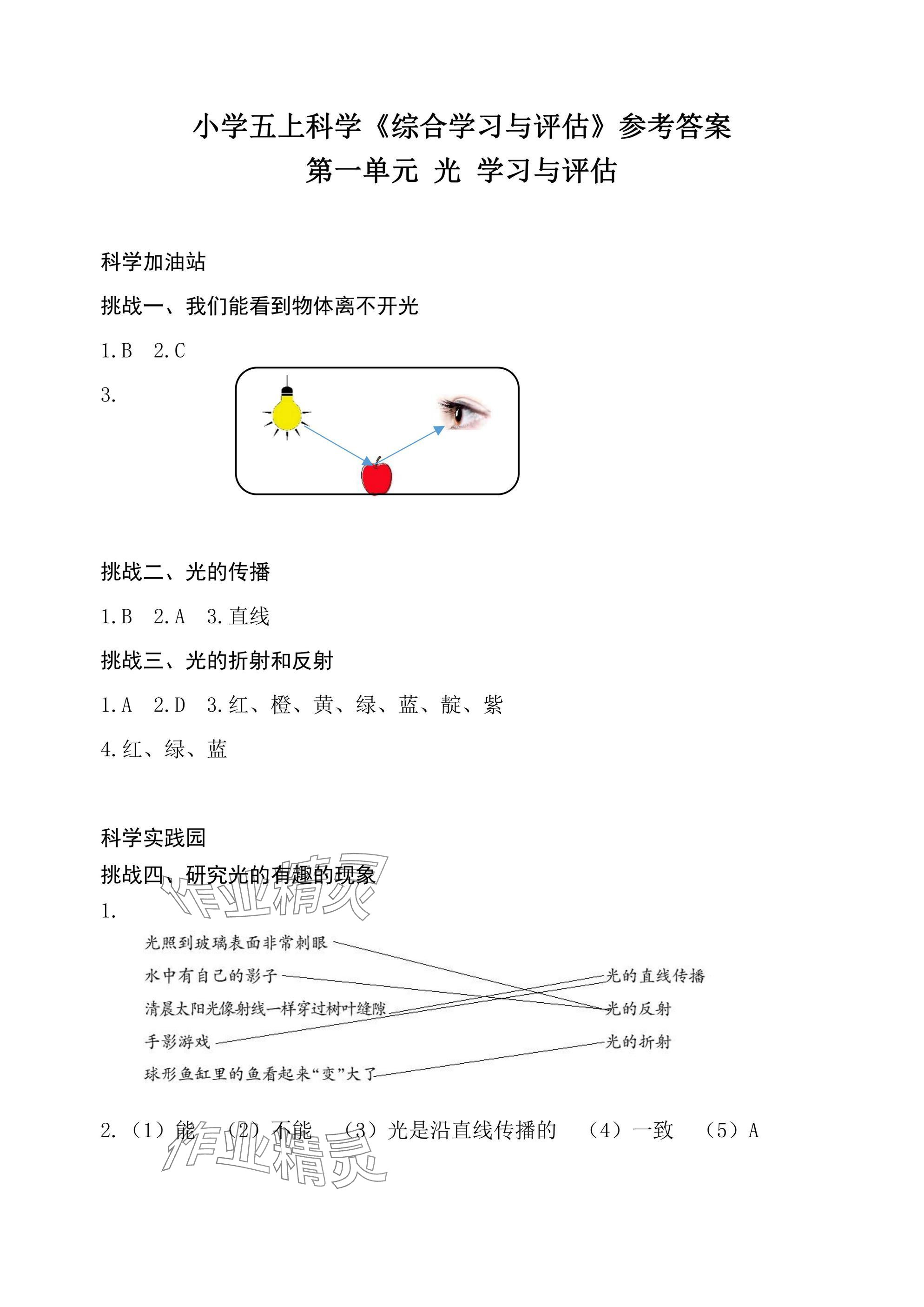 2024年綜合學(xué)習(xí)與評估五年級科學(xué)上冊教科版 參考答案第1頁