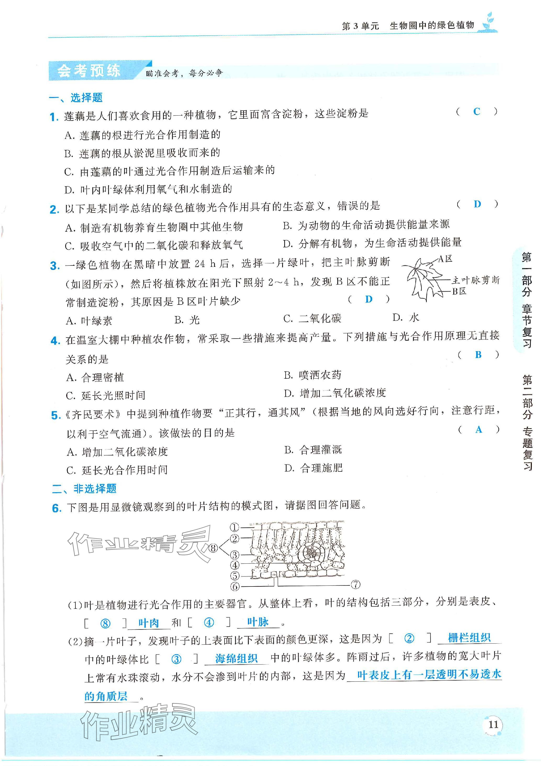 2024年決勝會考生物北師 參考答案第11頁