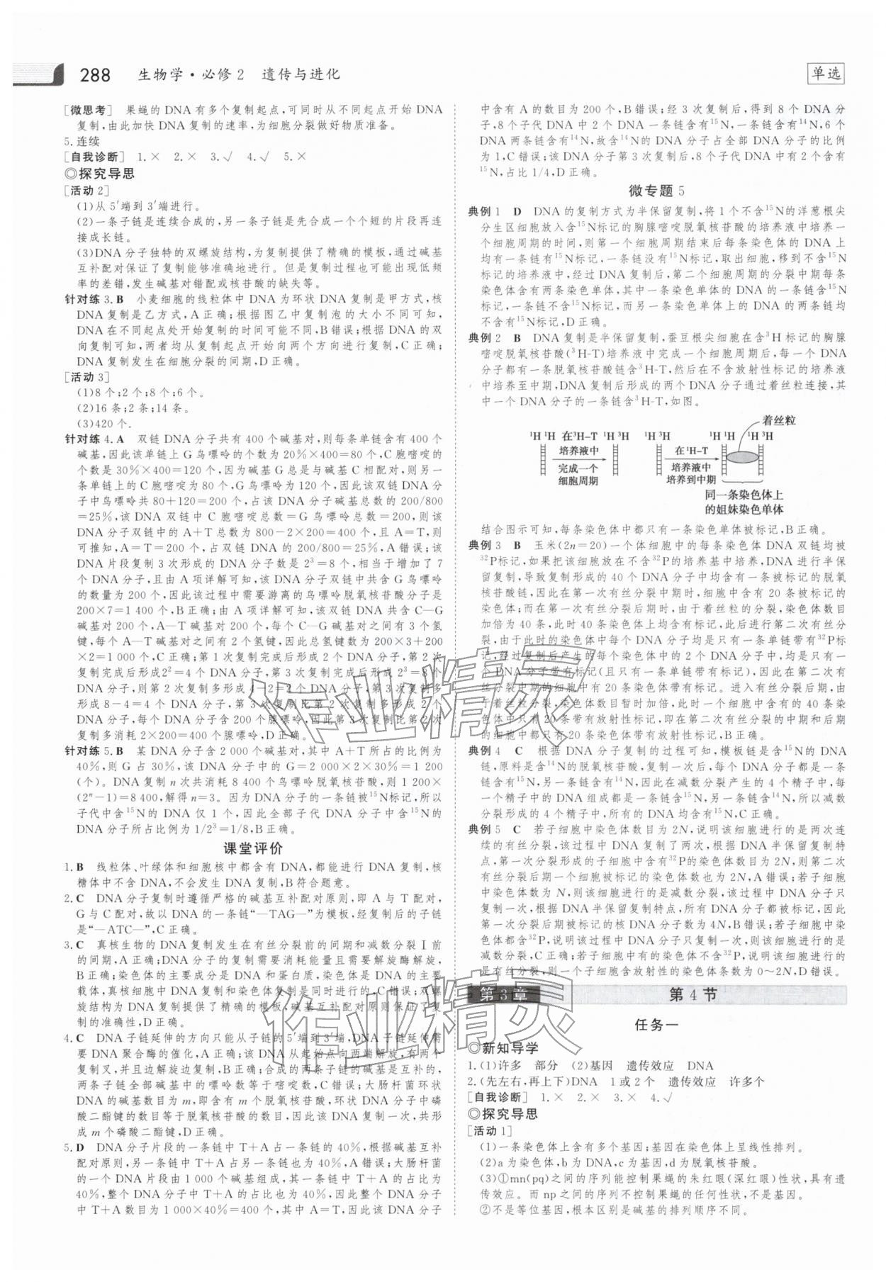 2025年金版新学案高中生物必修第二册人教版 参考答案第11页