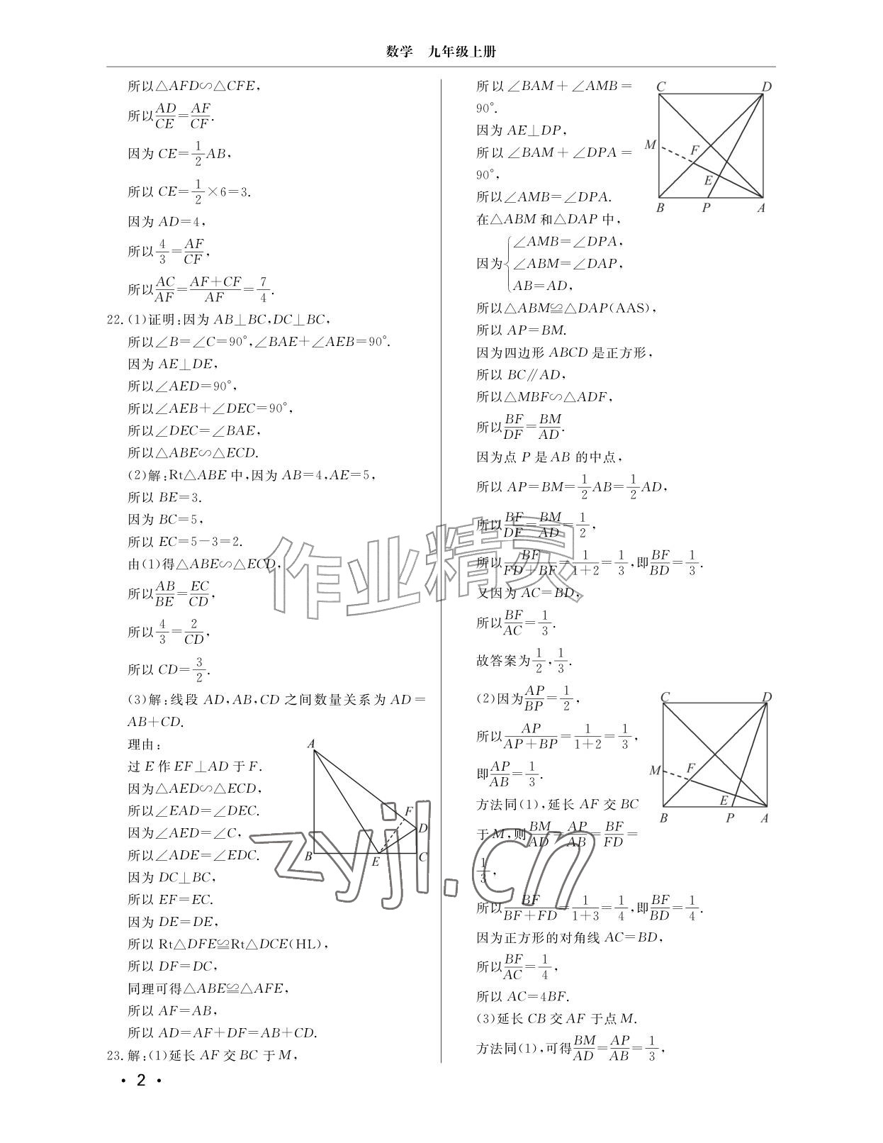 2026年同步练习册分层检测卷九年级数学上册青岛版&nbsp;参考答案第2页