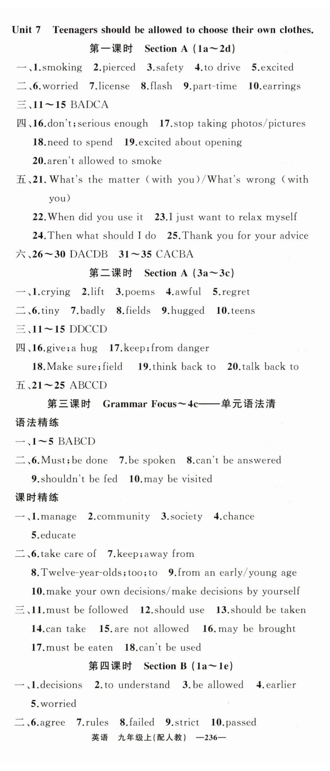 2024年四清導(dǎo)航九年級英語上冊人教版 第14頁