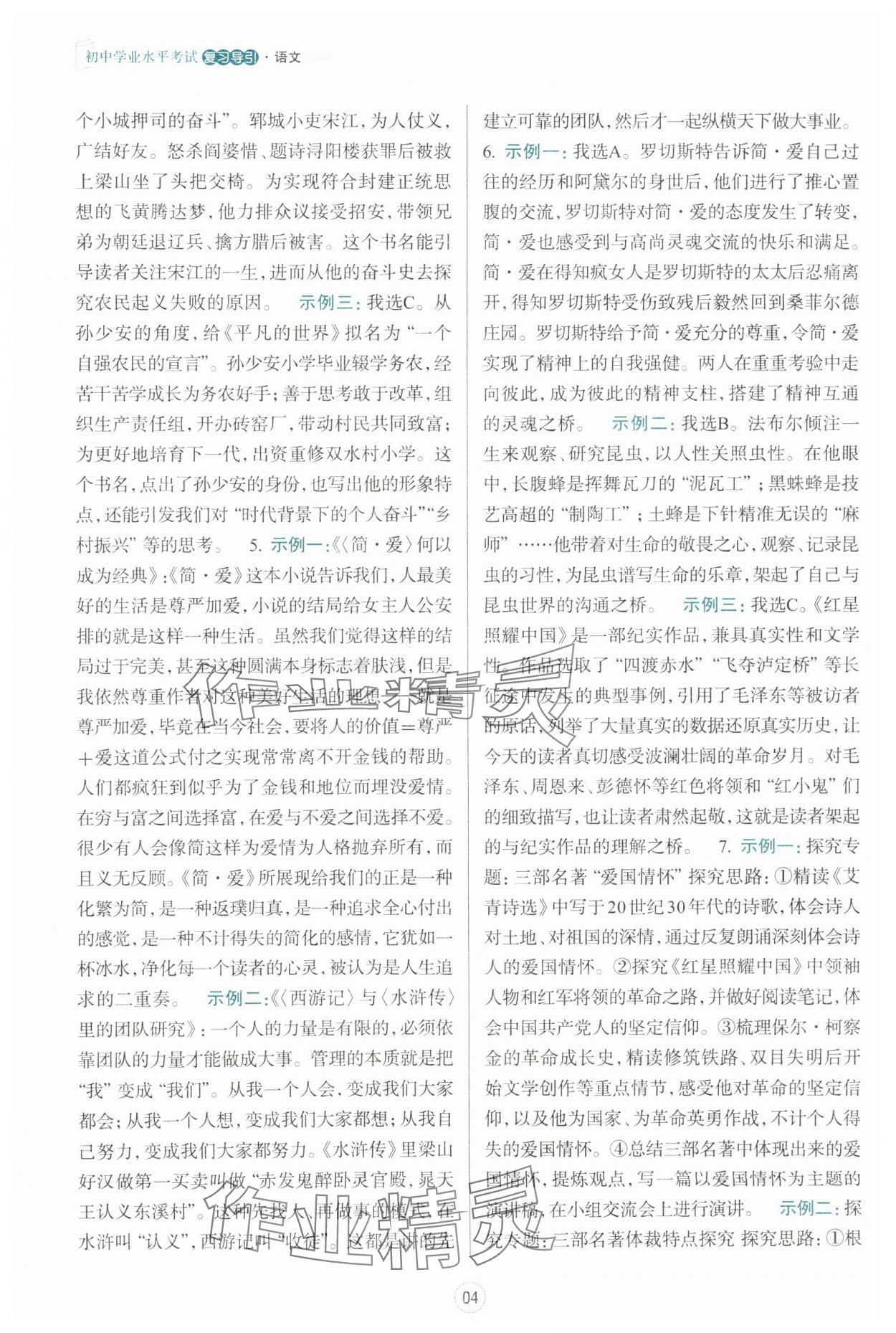 2025年初中學(xué)業(yè)水平考試復(fù)習(xí)導(dǎo)引語文 第4頁