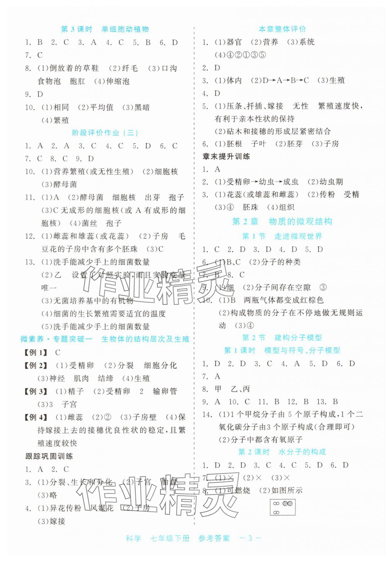 2025年精彩練習(xí)就練這一本七年級科學(xué)下冊浙教版評議教輔 第3頁