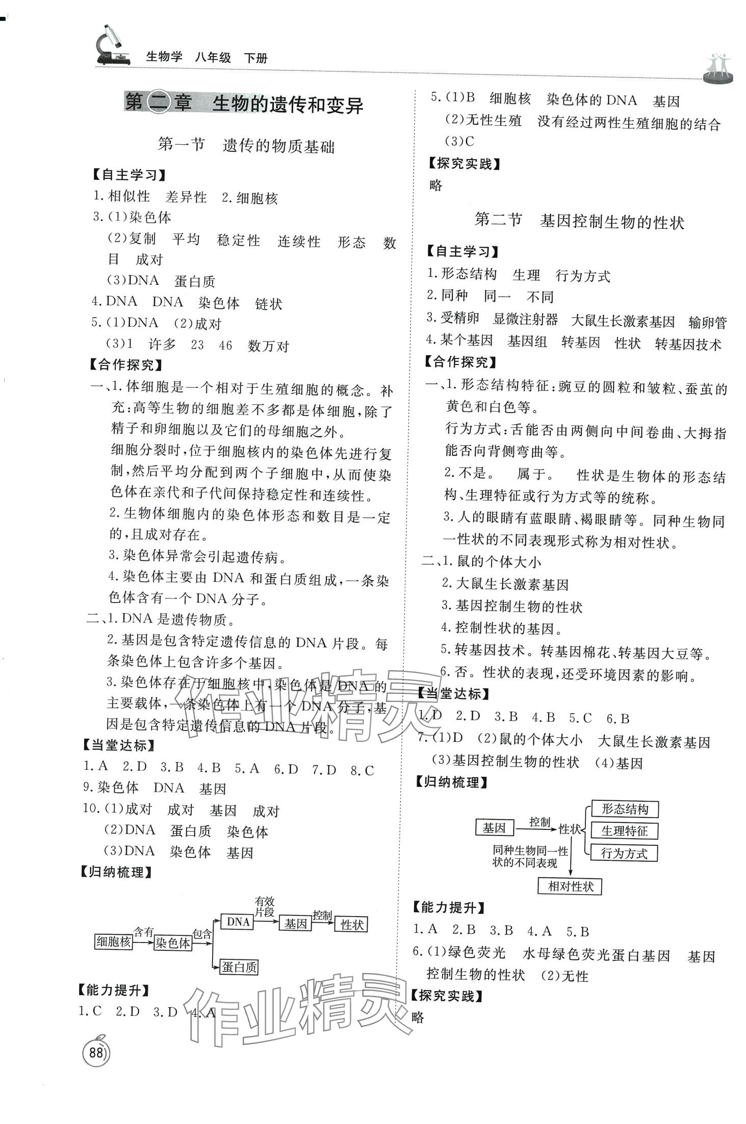 2024年同步練習冊山東友誼出版社八年級生物下冊魯科版五四制 第3頁