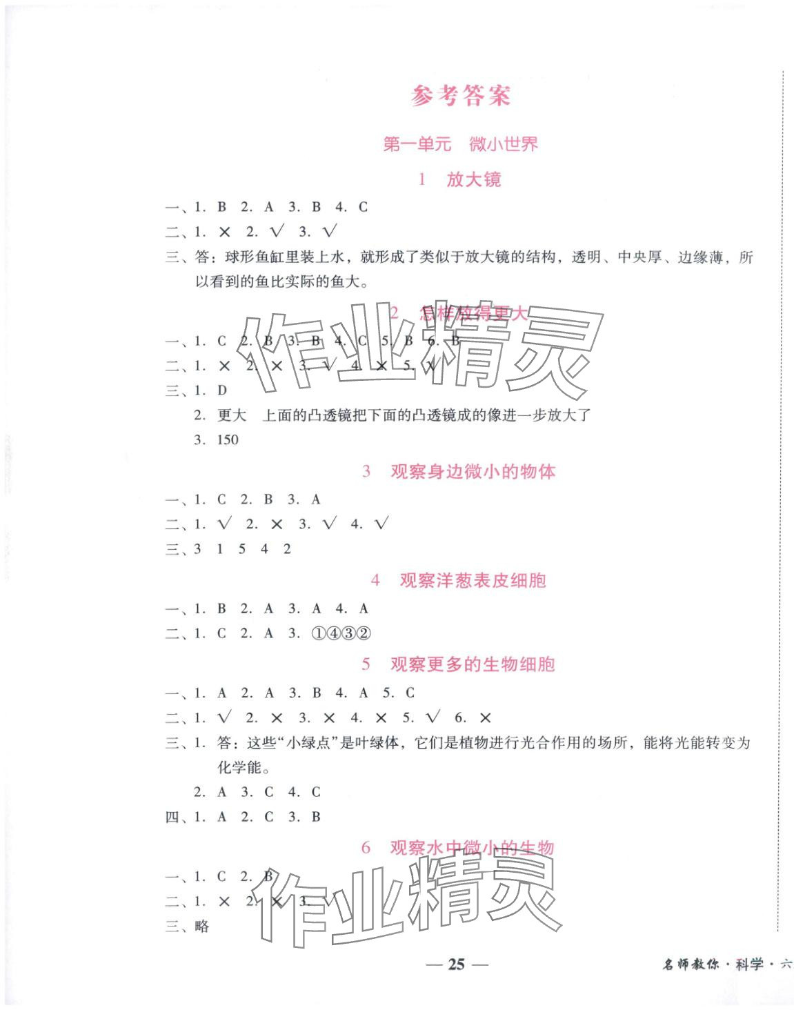 2025年小桔豆名师教你六年级科学上册教科版 参考答案第1页