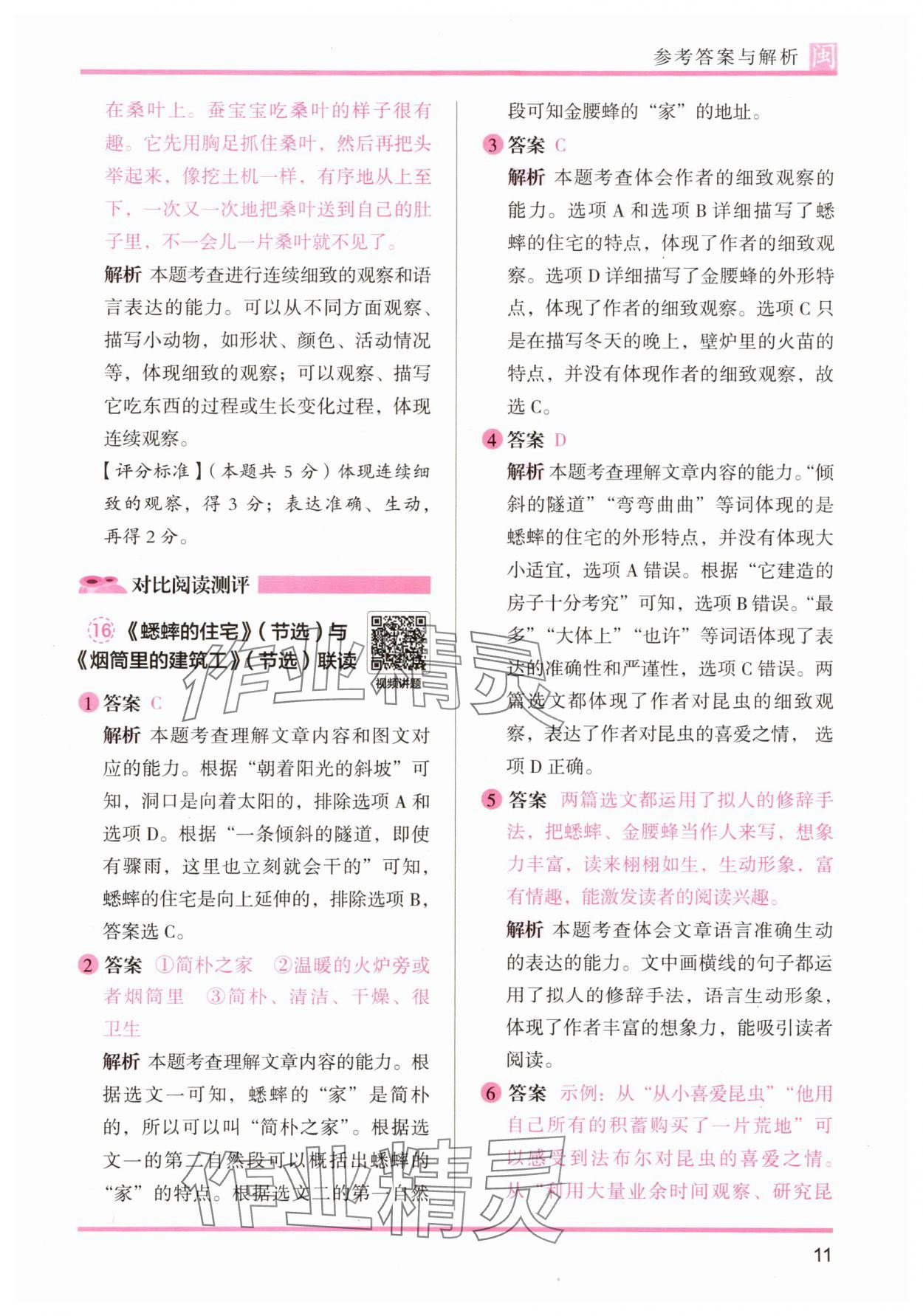 2025年木頭馬閱讀力測評四年級語文部編版A版福建專版 第11頁