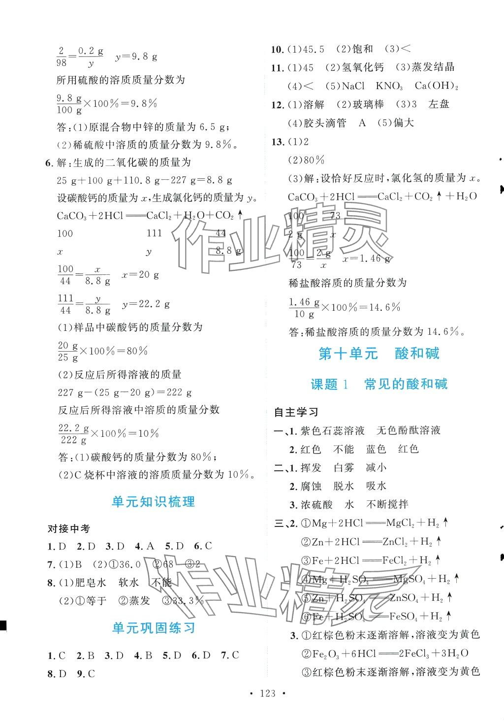 2024年實(shí)驗(yàn)教材新學(xué)案九年級(jí)化學(xué)下冊(cè)人教版 第5頁