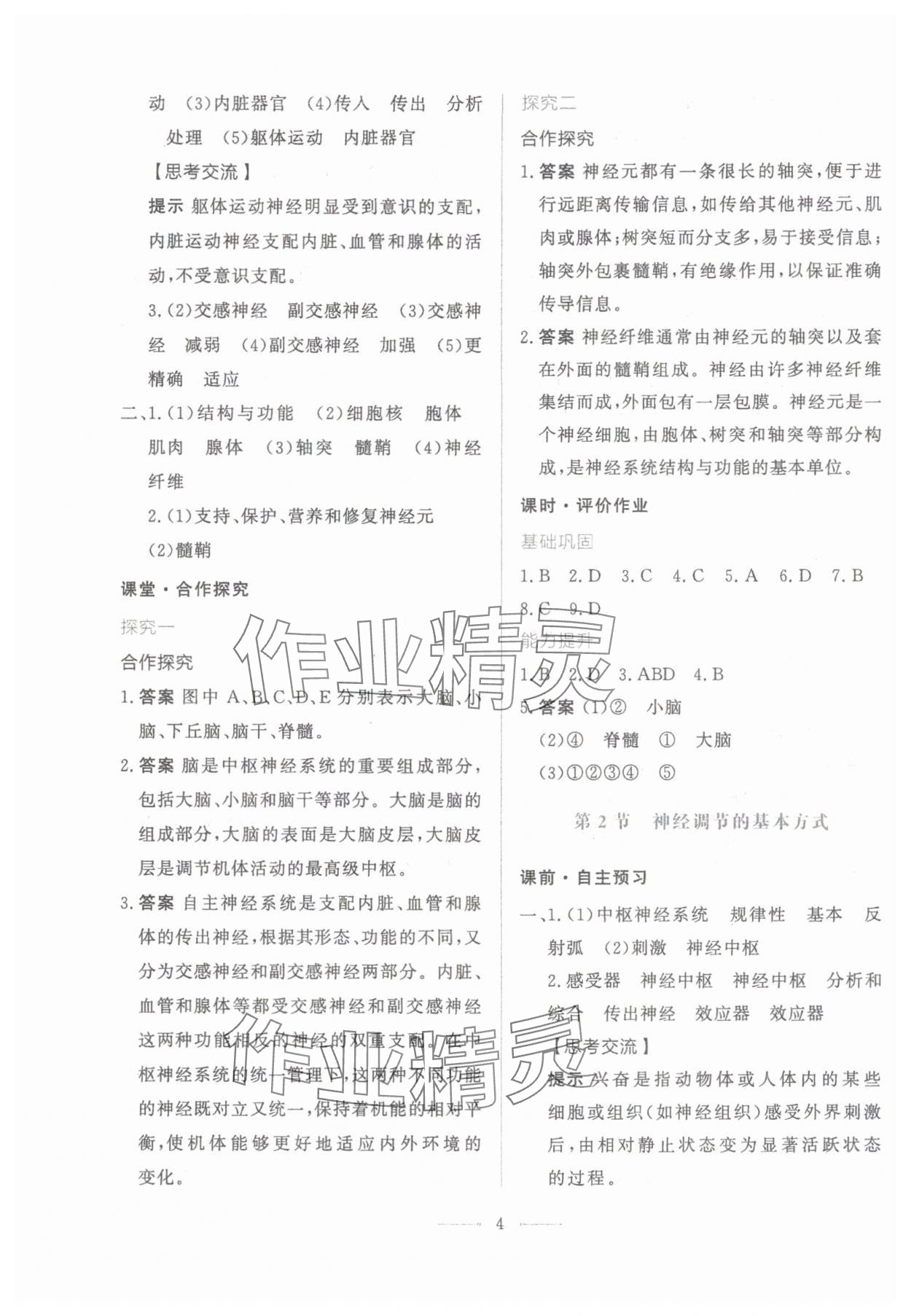 2024年同步學考練高中生物選擇性必修1人教版 第4頁