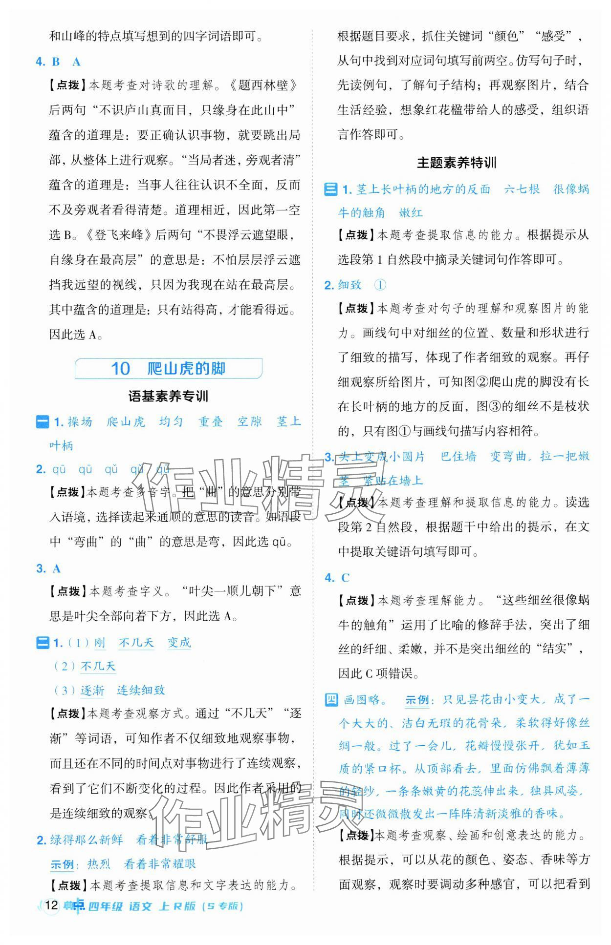 2024年綜合應(yīng)用創(chuàng)新題典中點(diǎn)四年級語文上冊人教版江蘇專版 第12頁