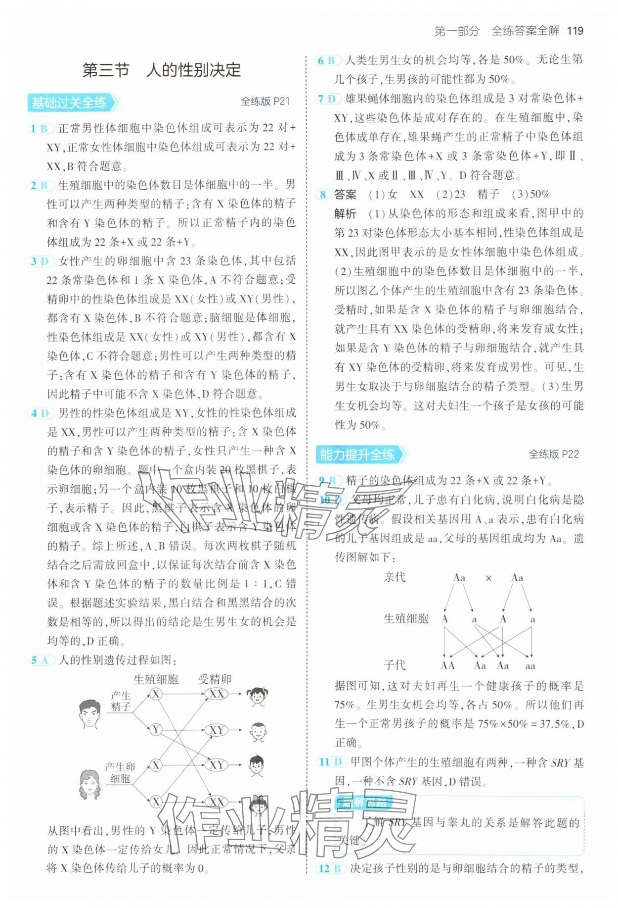 2025年5年中考3年模擬八年級生物下冊蘇教版 第9頁