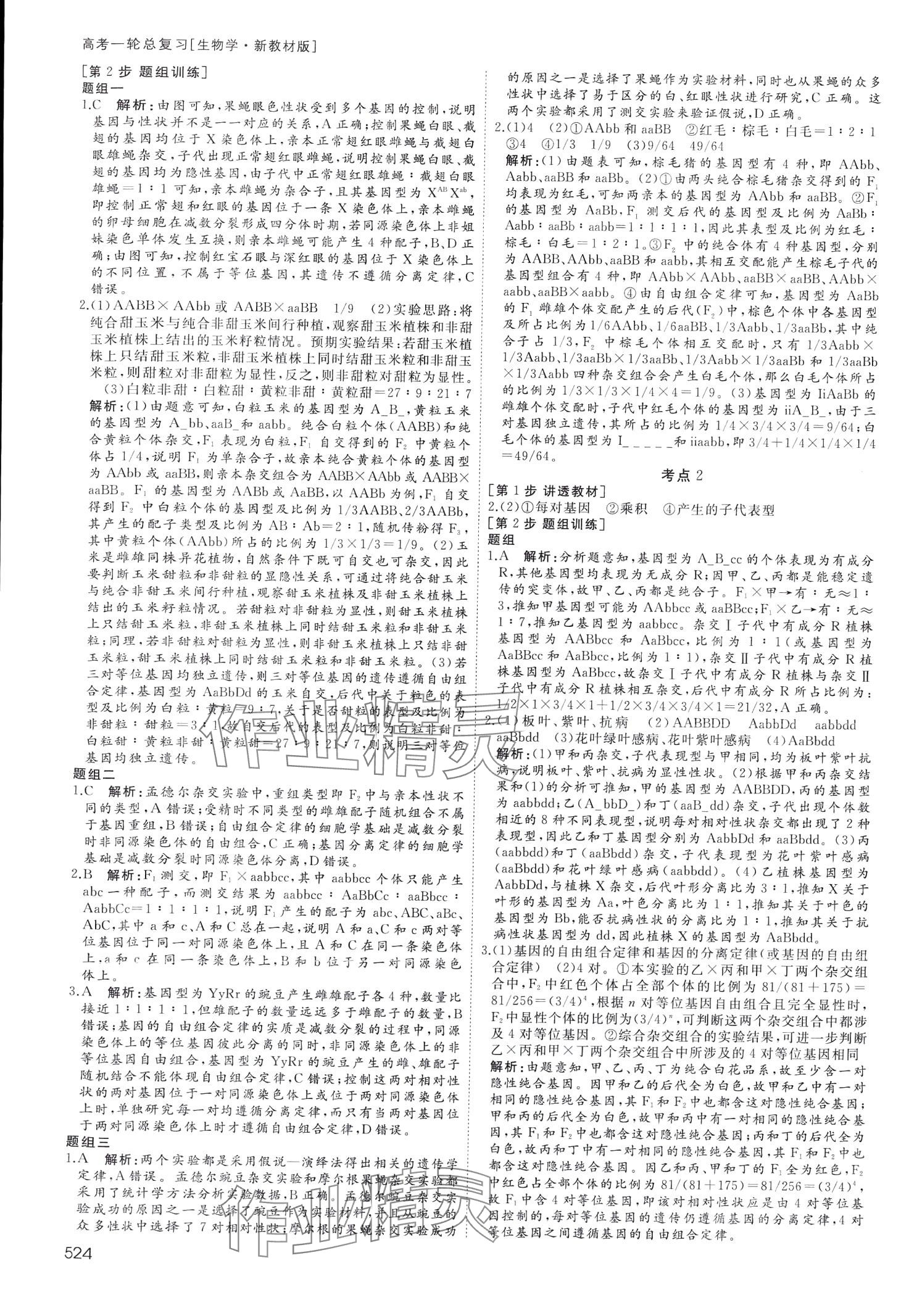 2024年名師伴你行高中同步導學案一輪總復習備考方略高中生物通用版 第26頁