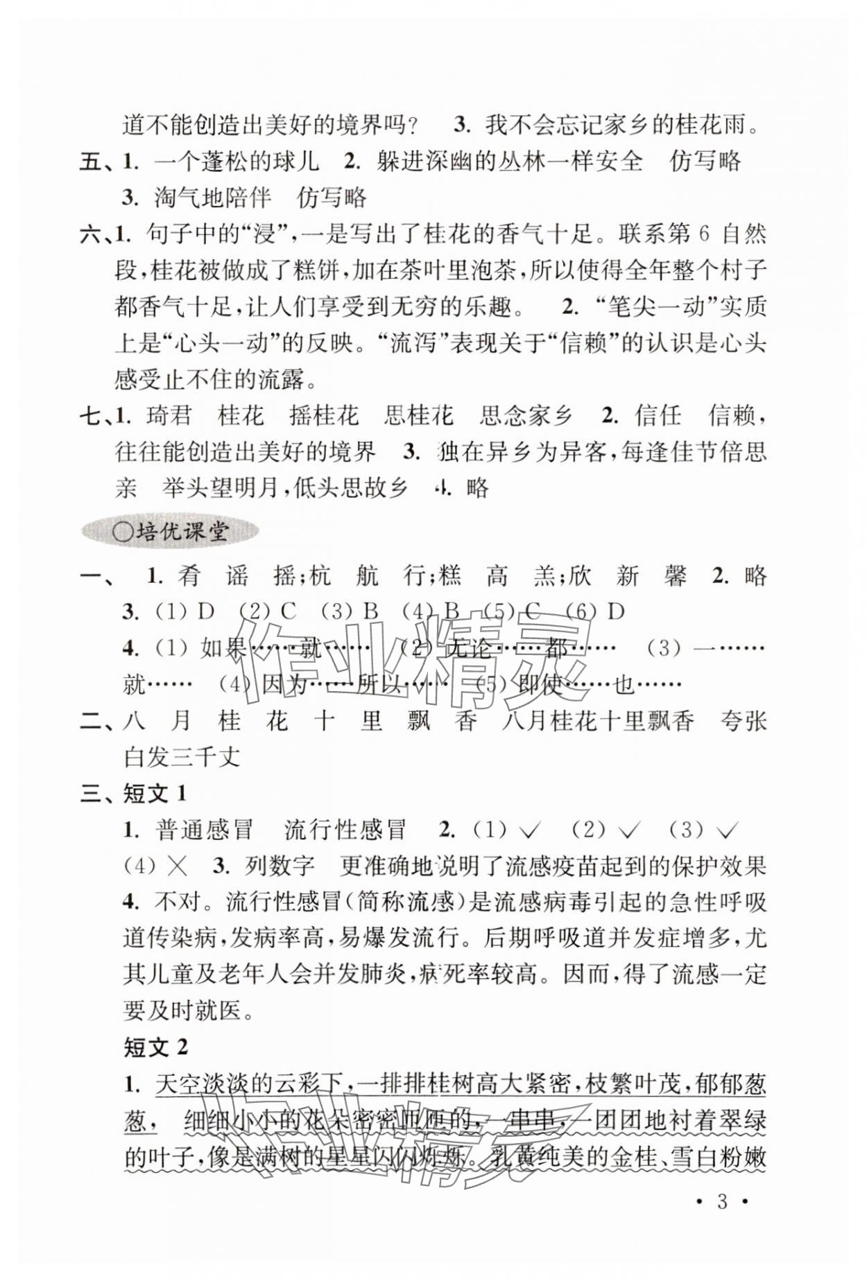 2023年領(lǐng)先一步培優(yōu)訓(xùn)練五年級語文上冊人教版 第3頁