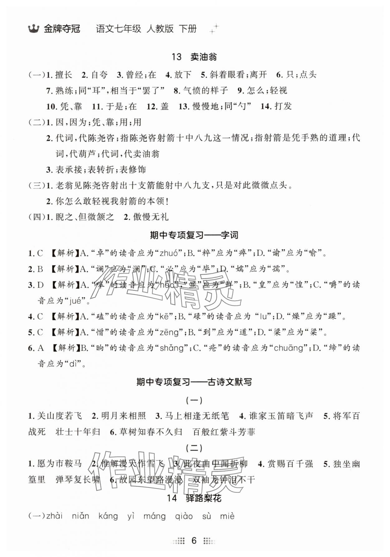 2025年點石成金金牌奪冠七年級語文下冊人教版遼寧專版 參考答案第6頁
