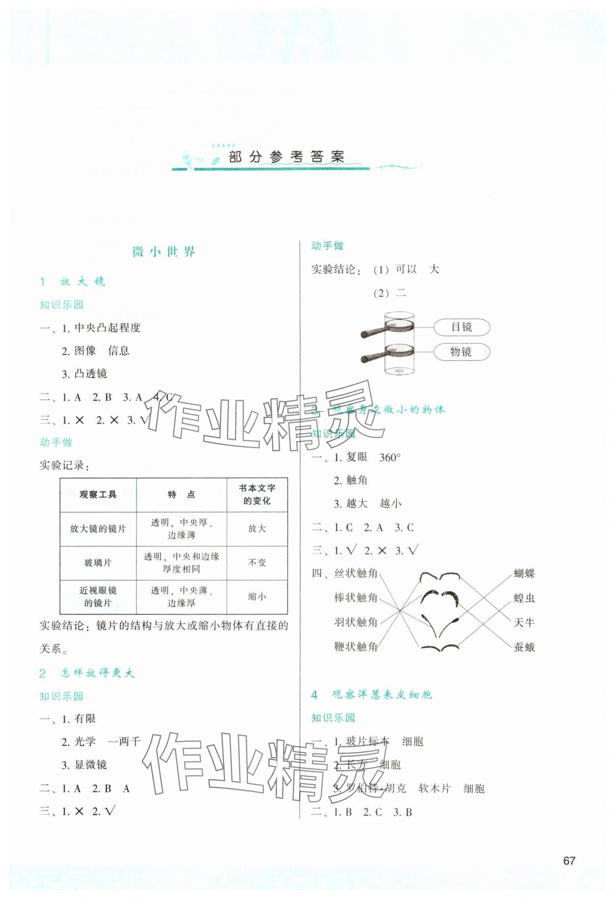 2024年新課程學習與評價六年級科學上冊教科版 第1頁