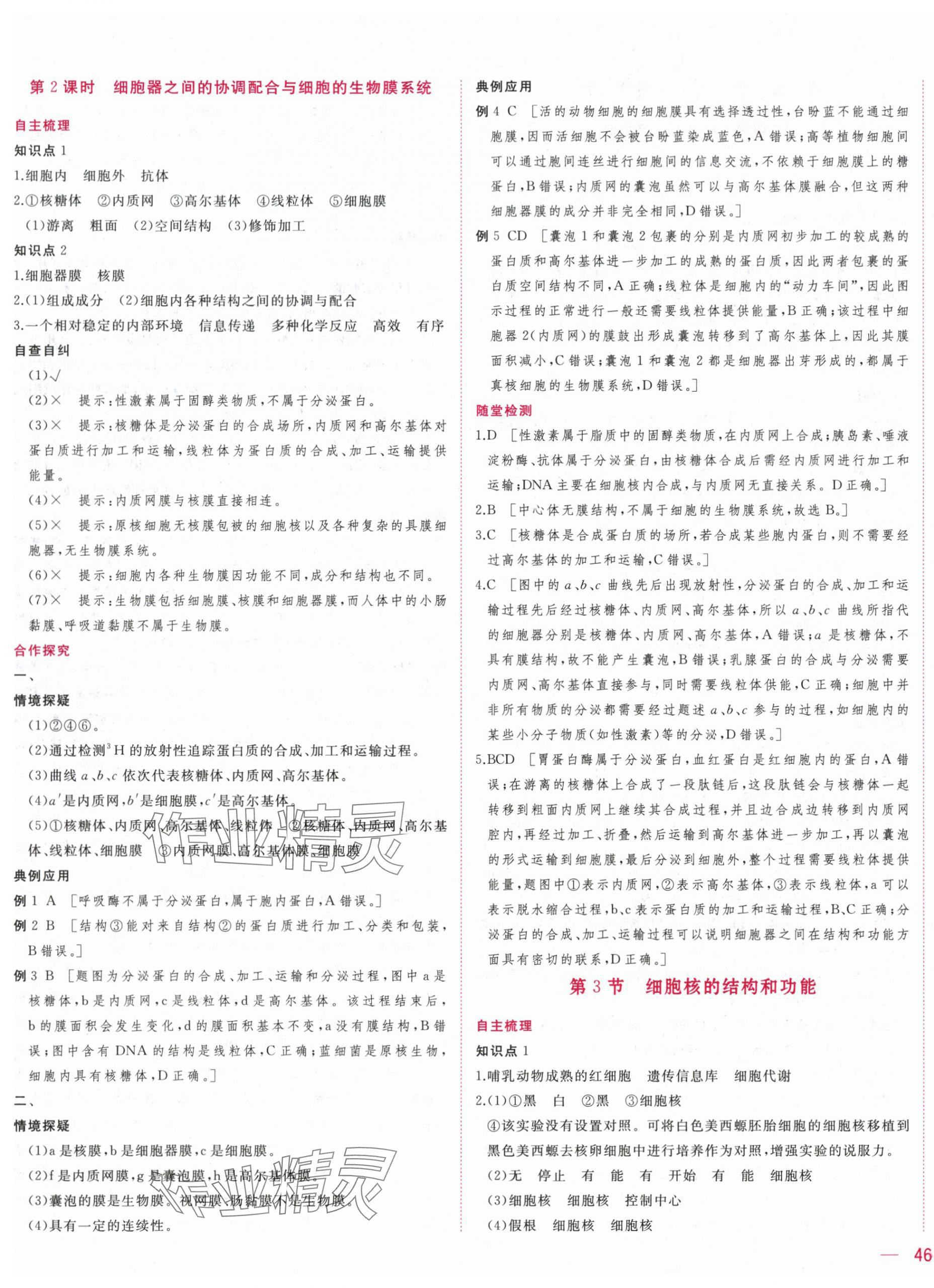 2025年三維隨堂精練高中生物必修1人教版 第11頁