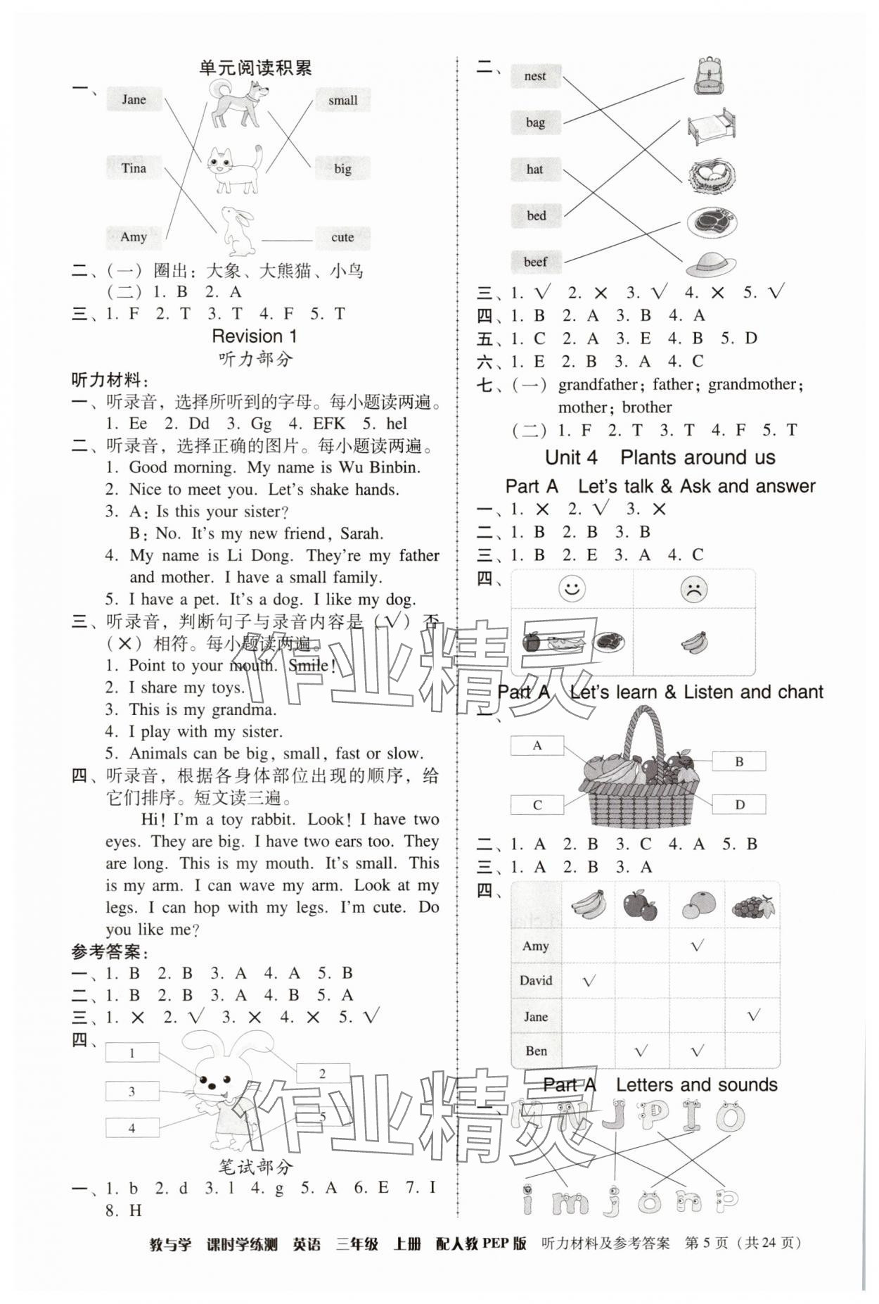 2025年教与学课时学练测三年级英语上册人教版&nbsp;第5页