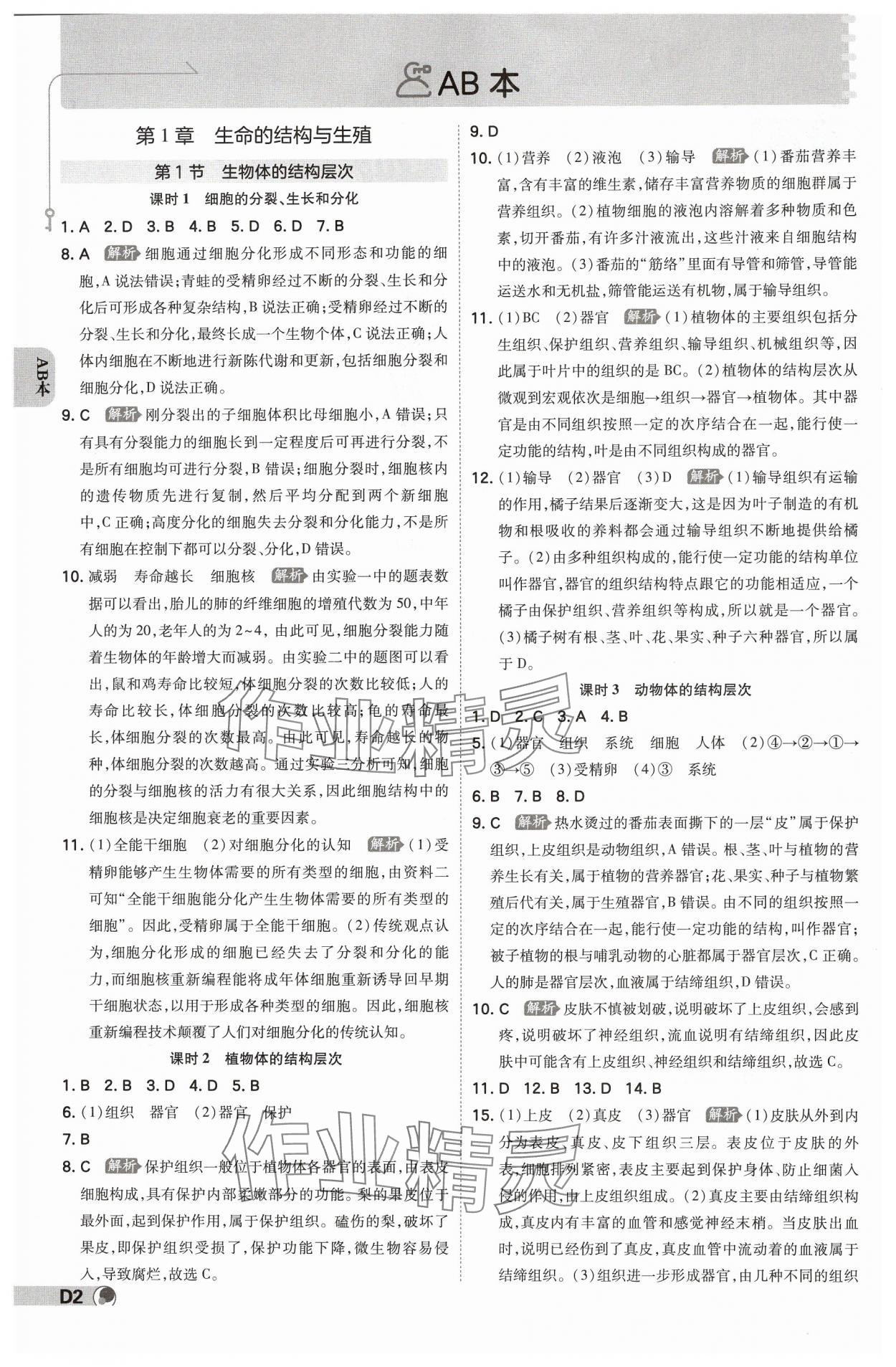 2025年少年班七年級(jí)科學(xué)下冊(cè)浙教版浙江專版 參考答案第1頁(yè)