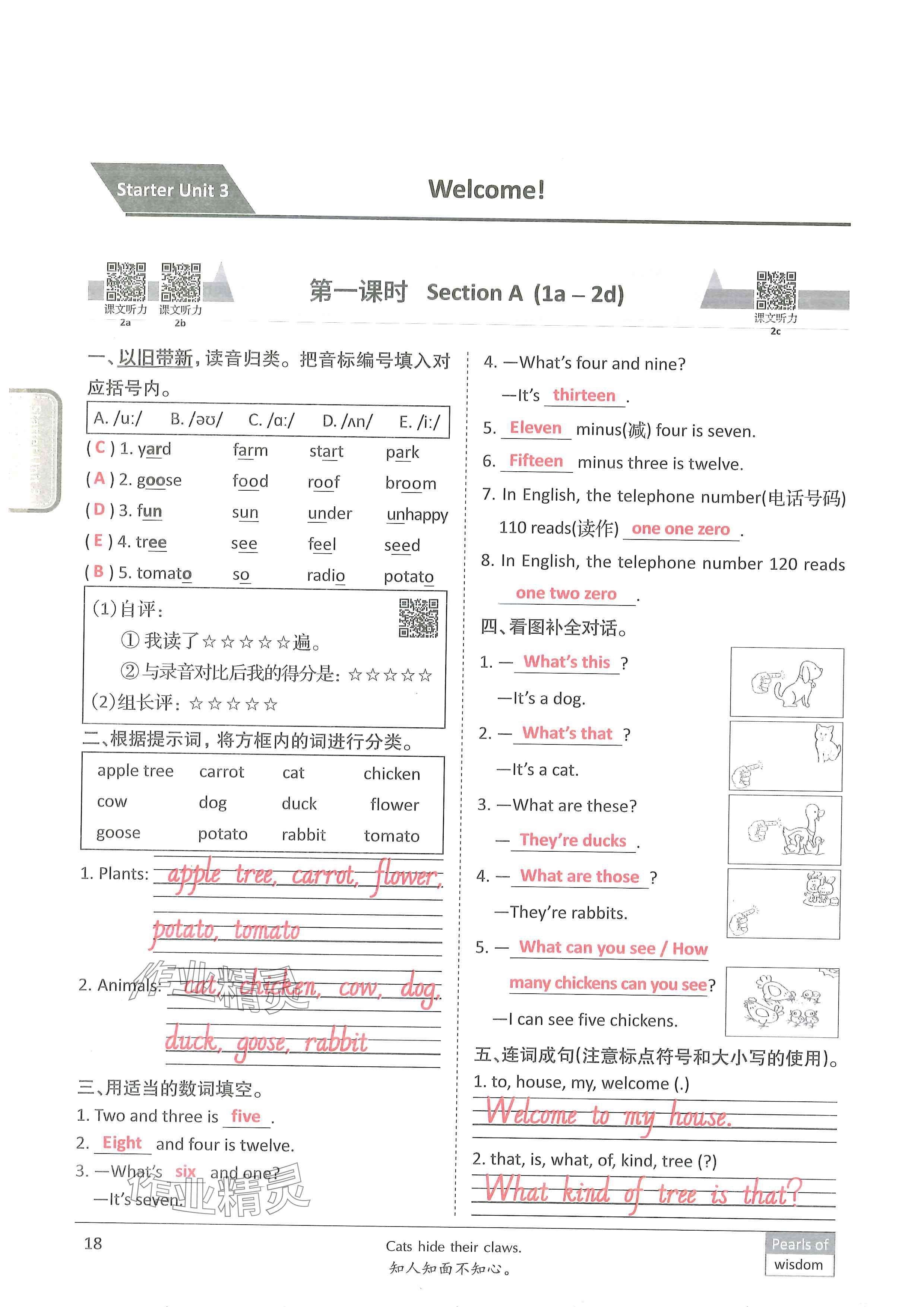 2024年新视界单元复习七年级英语上册人教版&nbsp;参考答案第17页