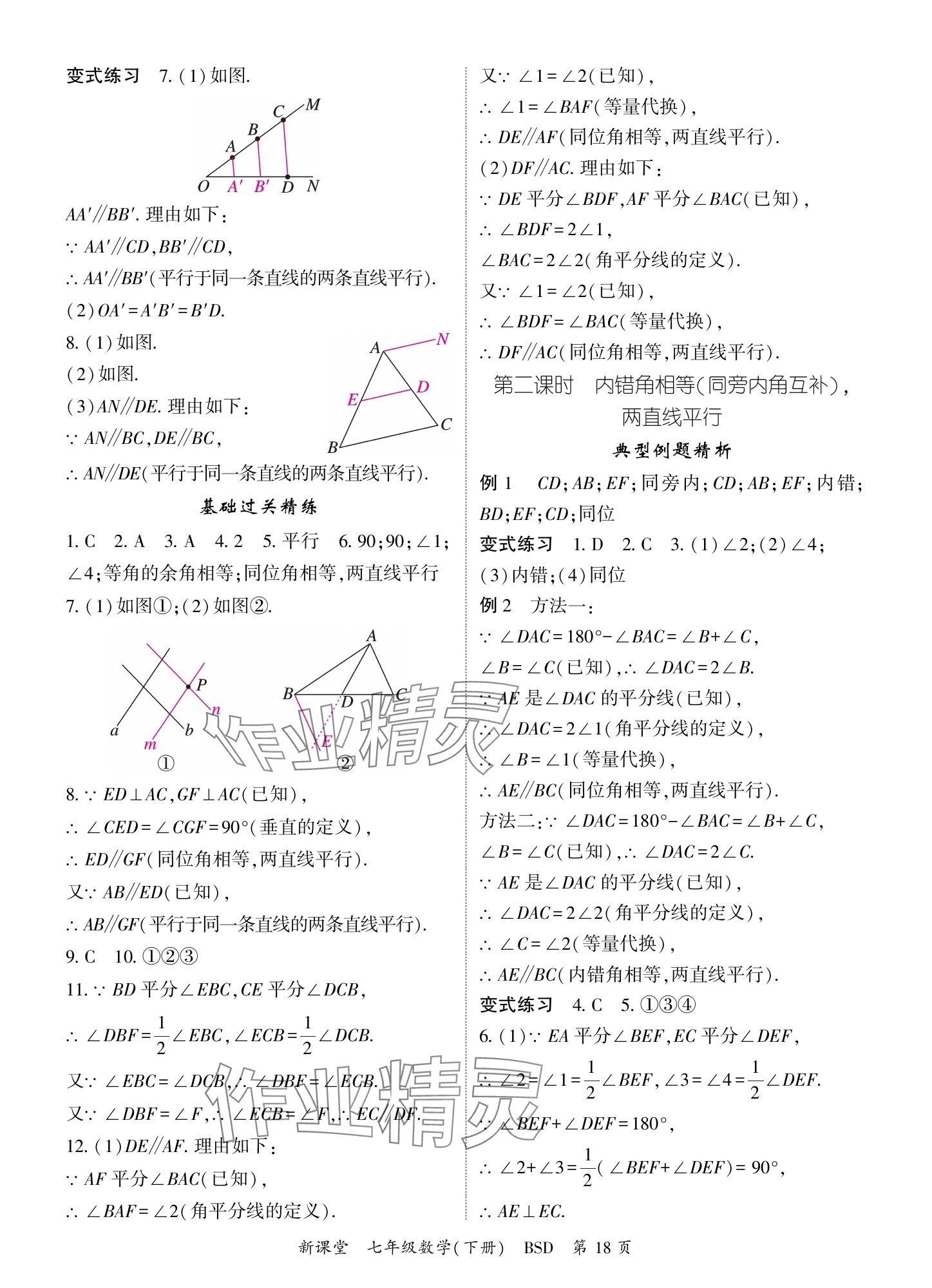 2024年啟航新課堂七年級數(shù)學下冊北師大版 參考答案第18頁