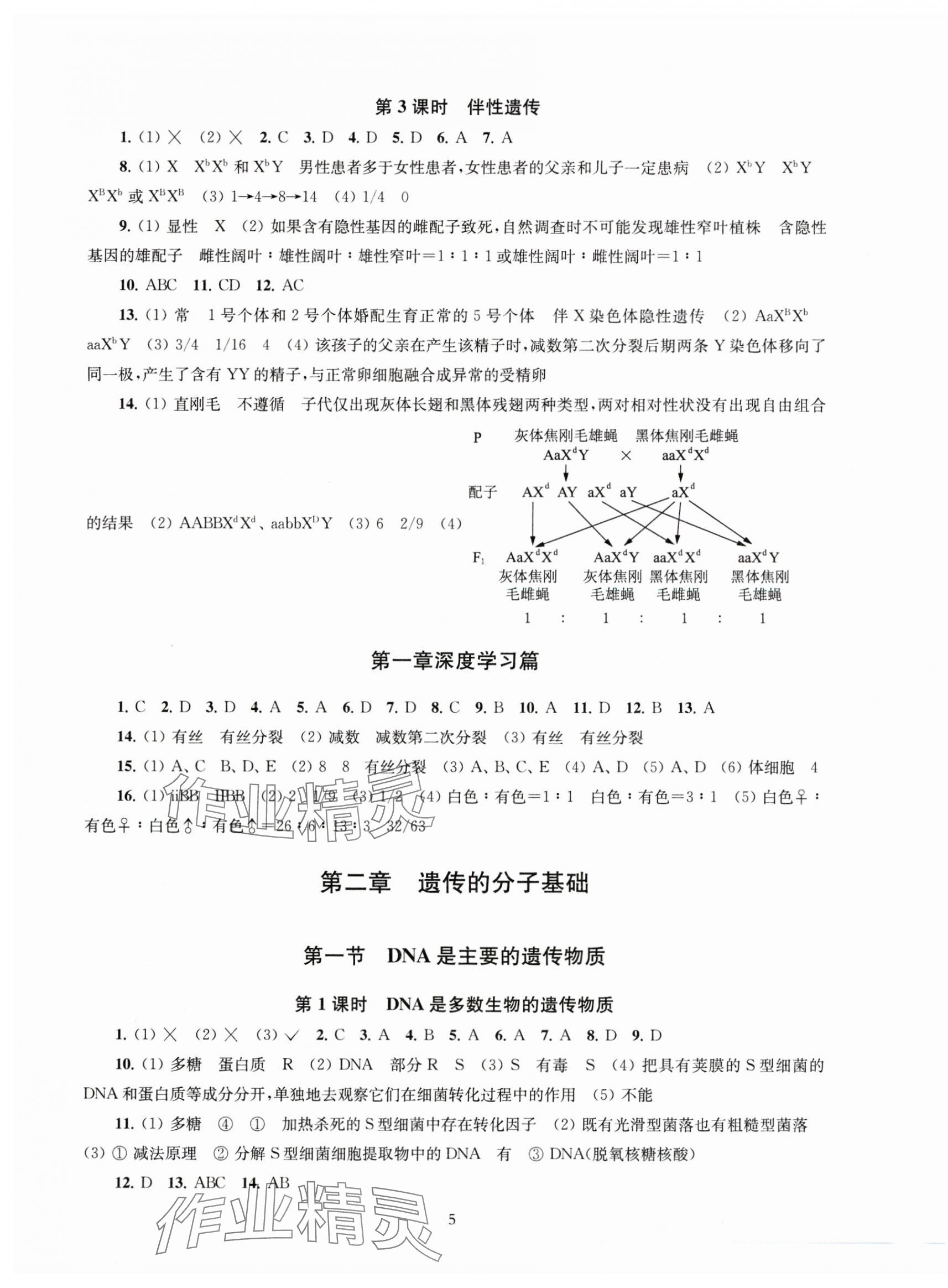 2025年鳳凰新學案高中生物必修2蘇教版 第5頁