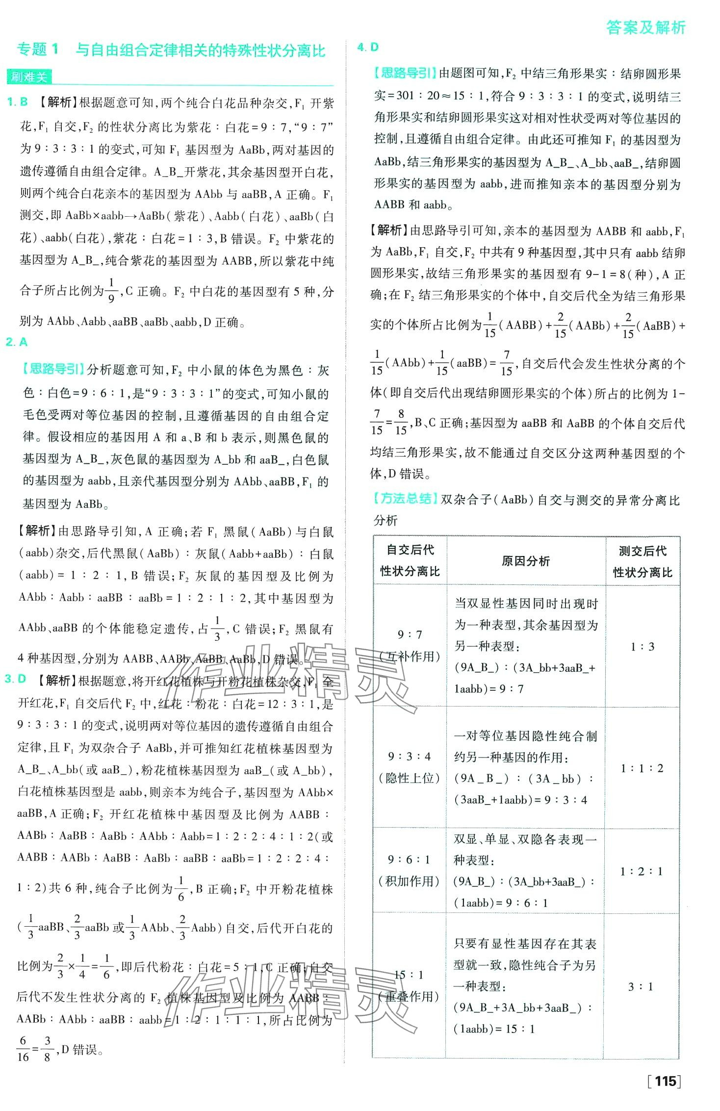 2024年高中必刷題高中生物必修2人教版 第10頁