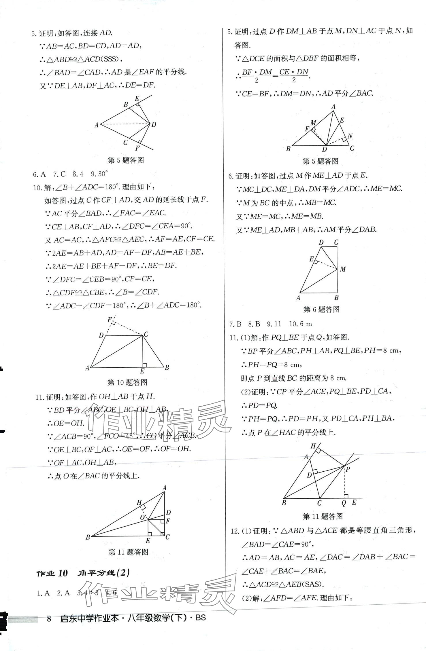 2024年啟東中學(xué)作業(yè)本八年級數(shù)學(xué)下冊北師大版 第8頁